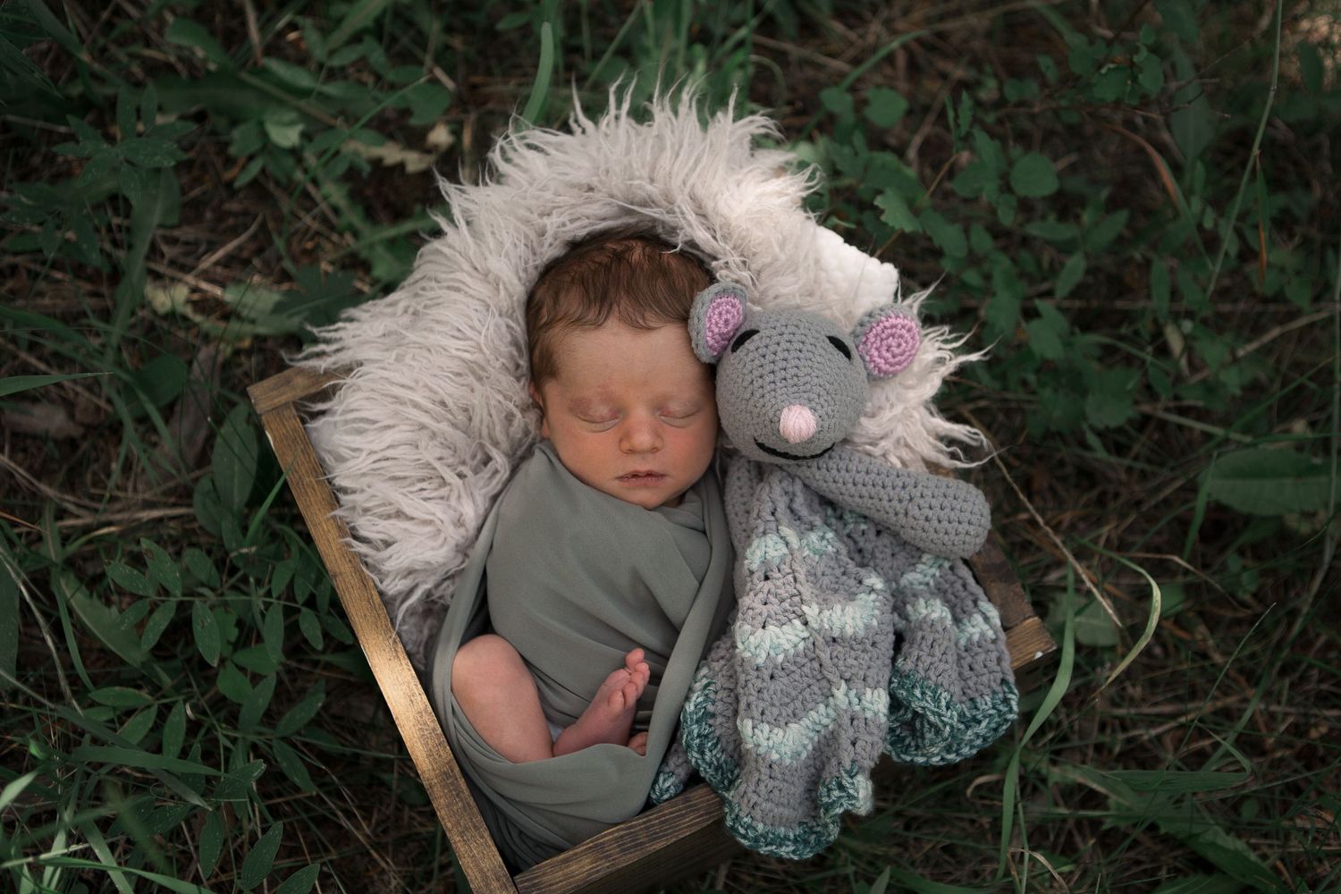 Newborn sleeping in wooden basket with gray stuffed animal on white fur and greenery background.