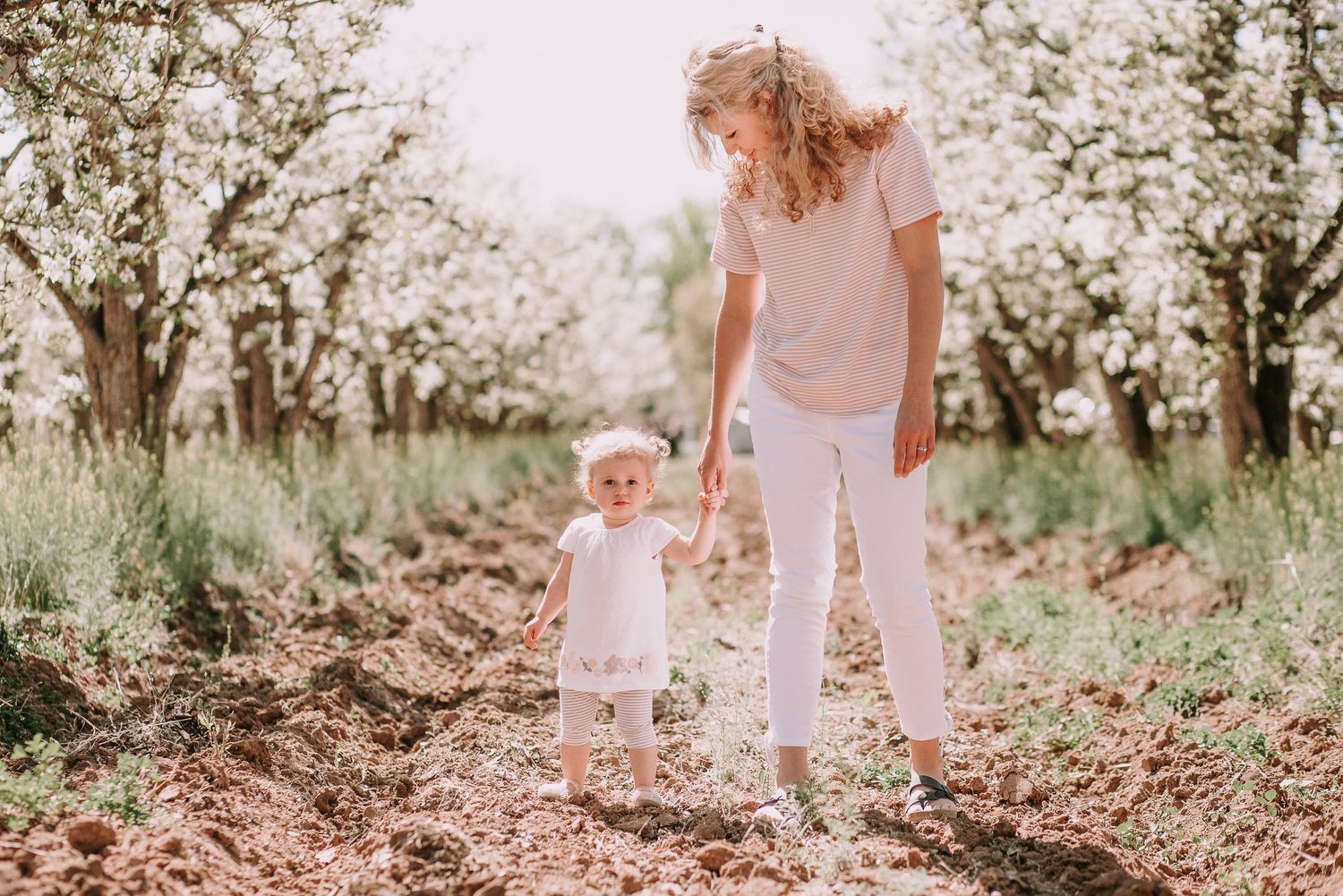 Two figures walking through blooming orchard with white flowers and tilled ground.