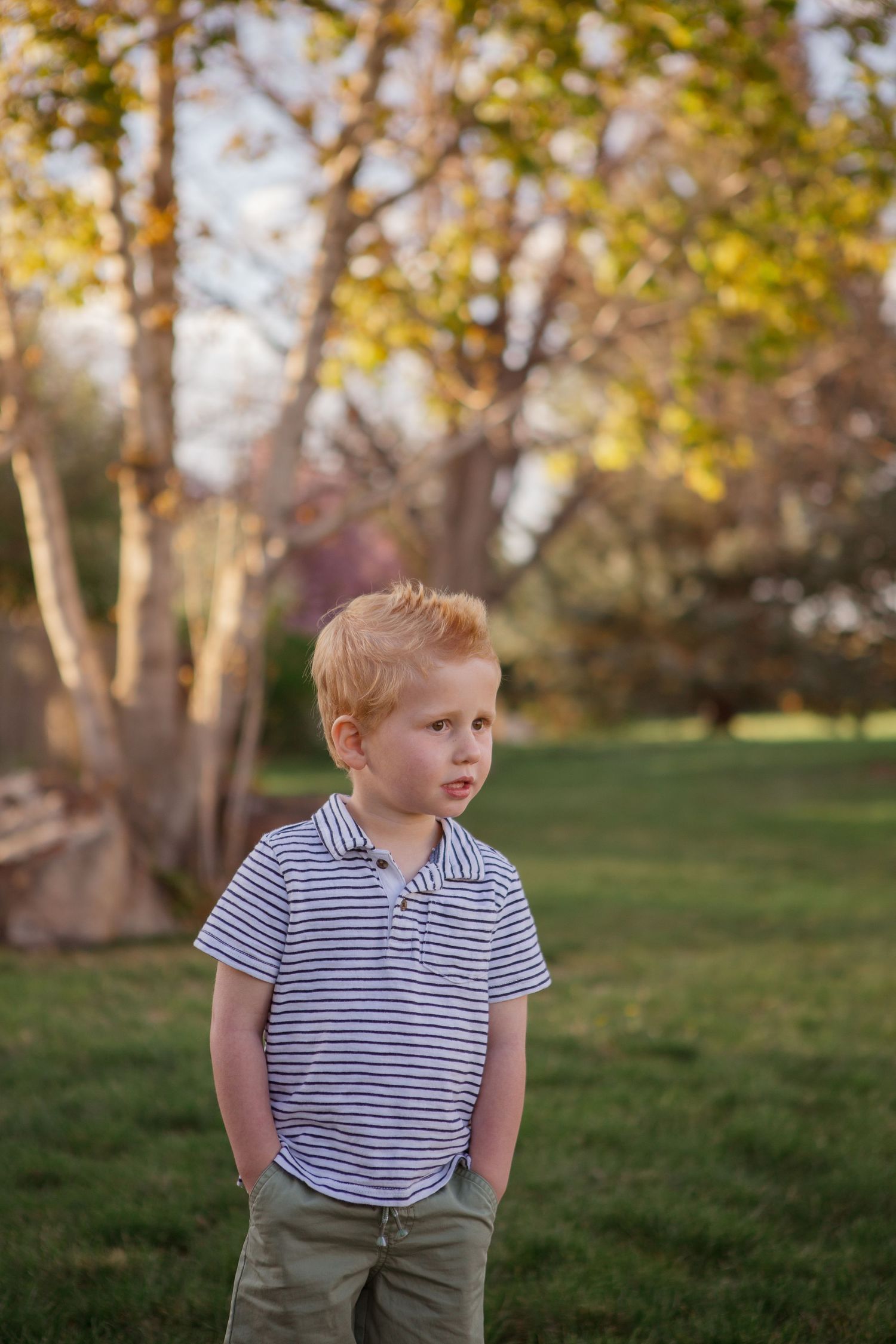 Young child in striped polo shirt standing in backyard during golden hour.