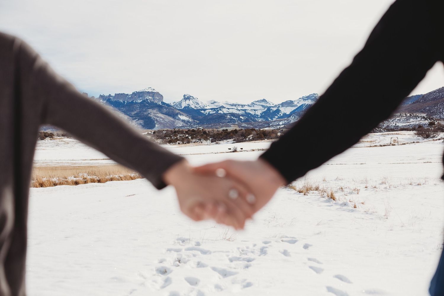 Two people holding hands with snowcapped mountains visible in the distance.