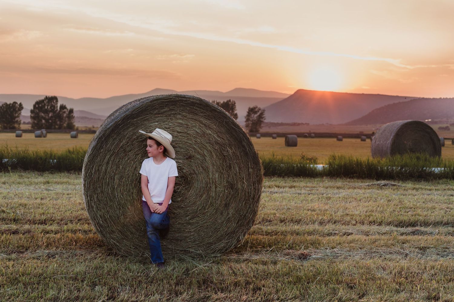 A sunset country scene with a figure leaning against a large round hay bale.