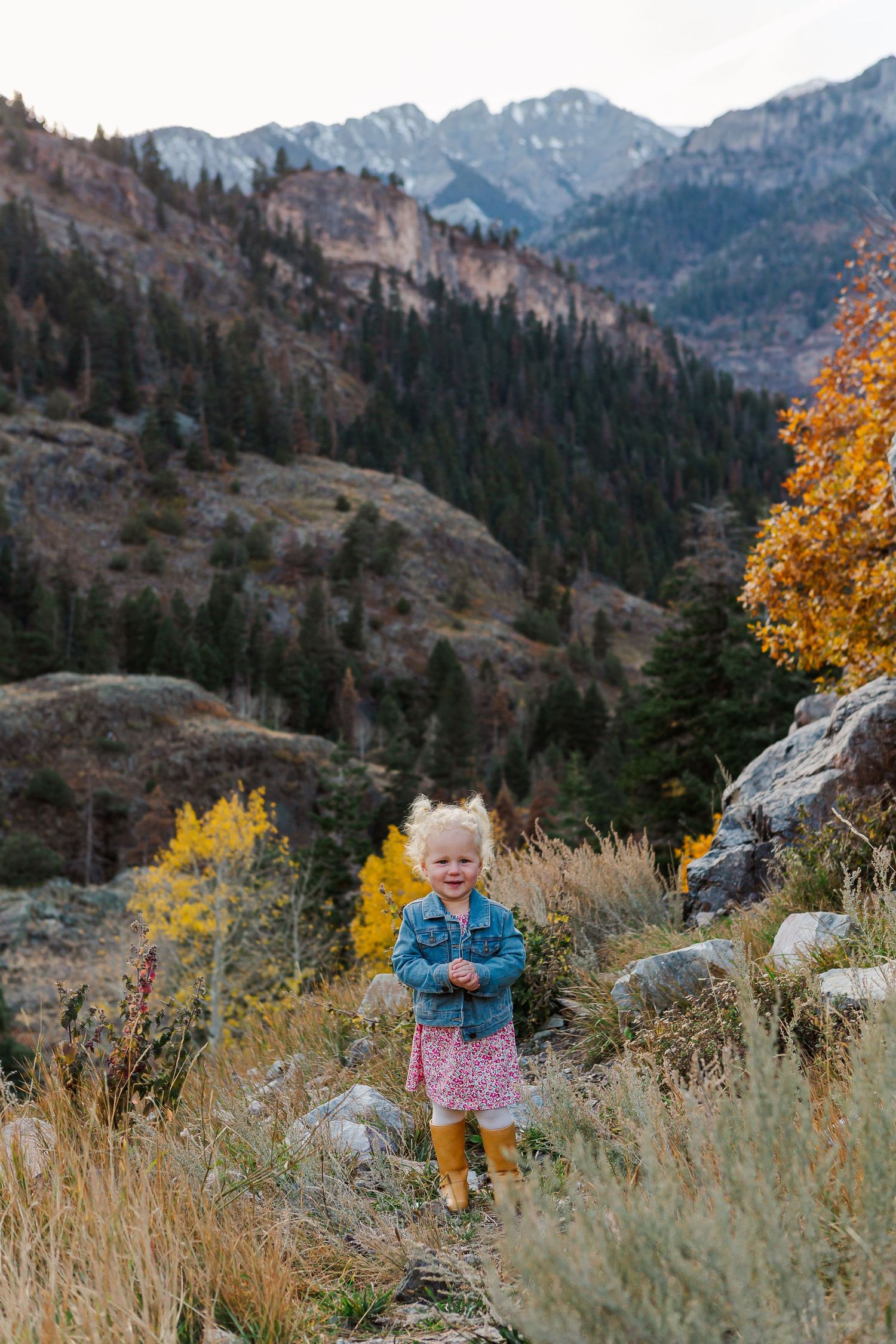 Young figure stands in fall grasses against backdrop of majestic mountain range with yellow autumn foliage.