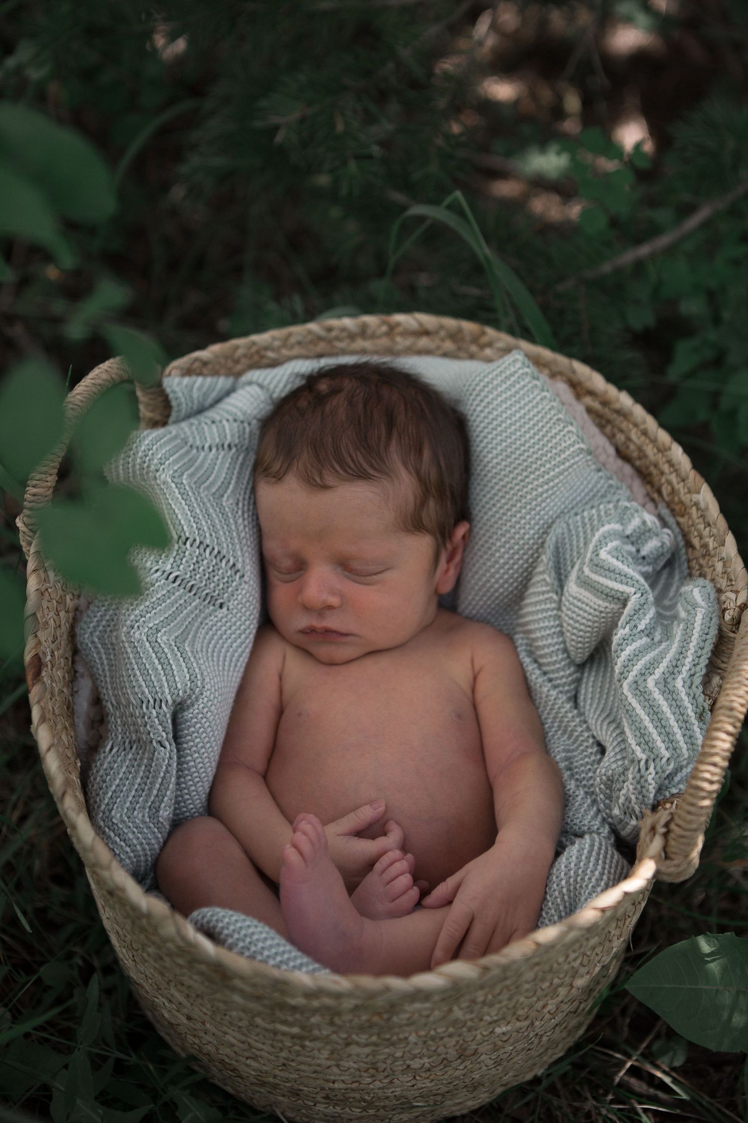 Peaceful newborn sleeping in rustic basket with gray chevron blanket amidst garden greenery.