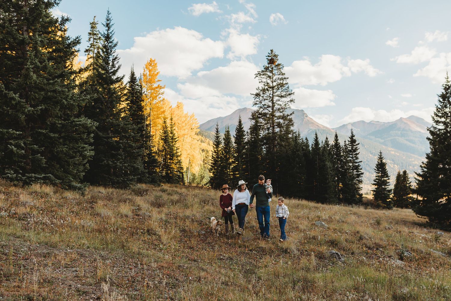 A group walks together on a mountainside trail surrounded by evergreen trees and golden autumn foliage.