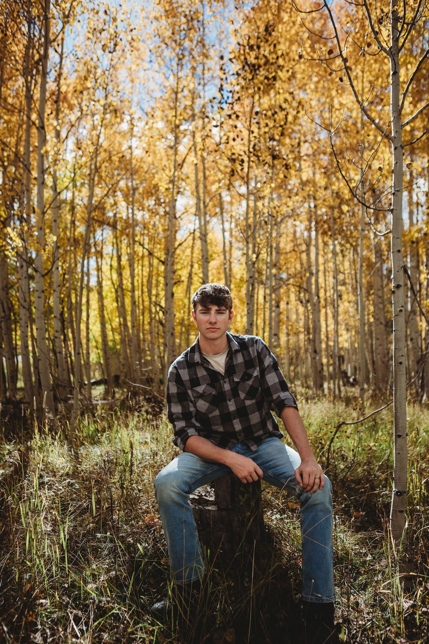 A person in a plaid shirt sits on a log surrounded by golden aspen trees in an autumn forest.