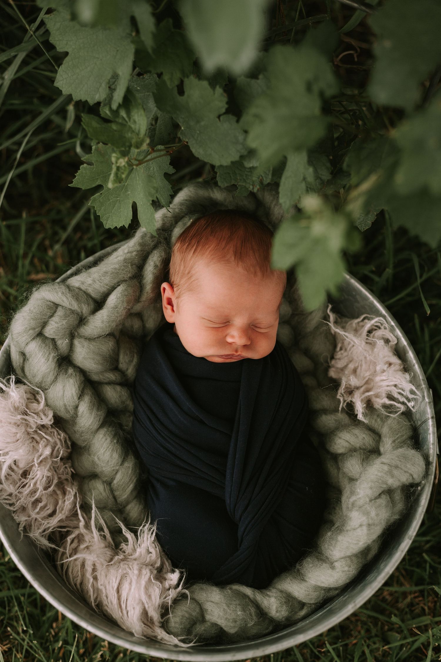 Peaceful sleeping newborn nestled in gray blanket under green vine leaves.