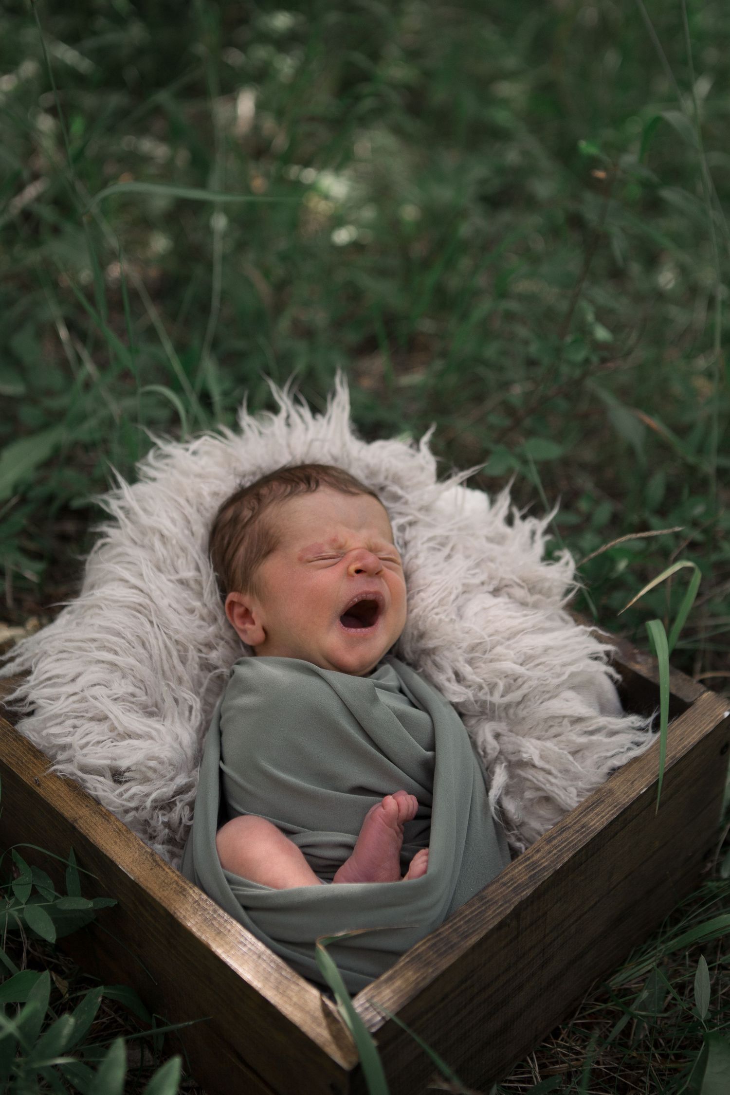 Yawning newborn in sage green wrap nestled on white fur cushion in wooden box surrounded by foliage.