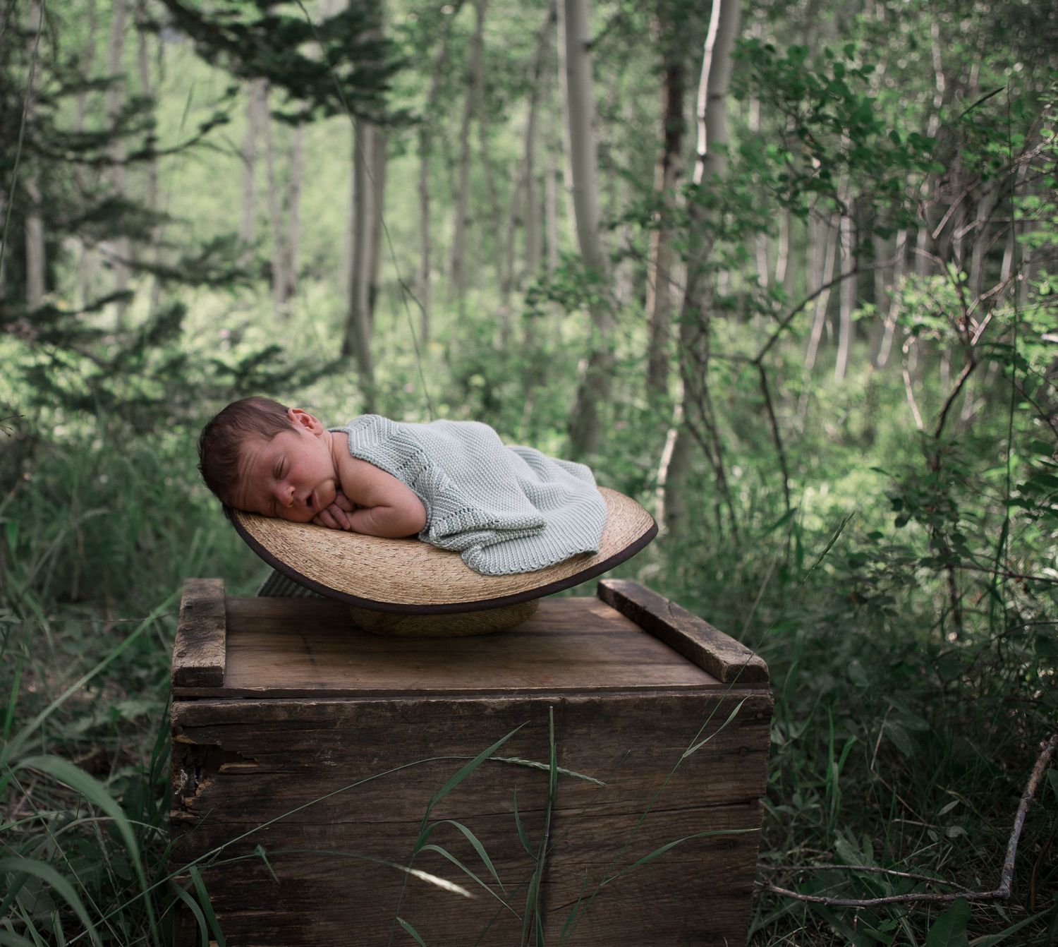 A sleeping baby swaddled in gray rests in a woven basket on a wooden crate surrounded by forest greenery.
