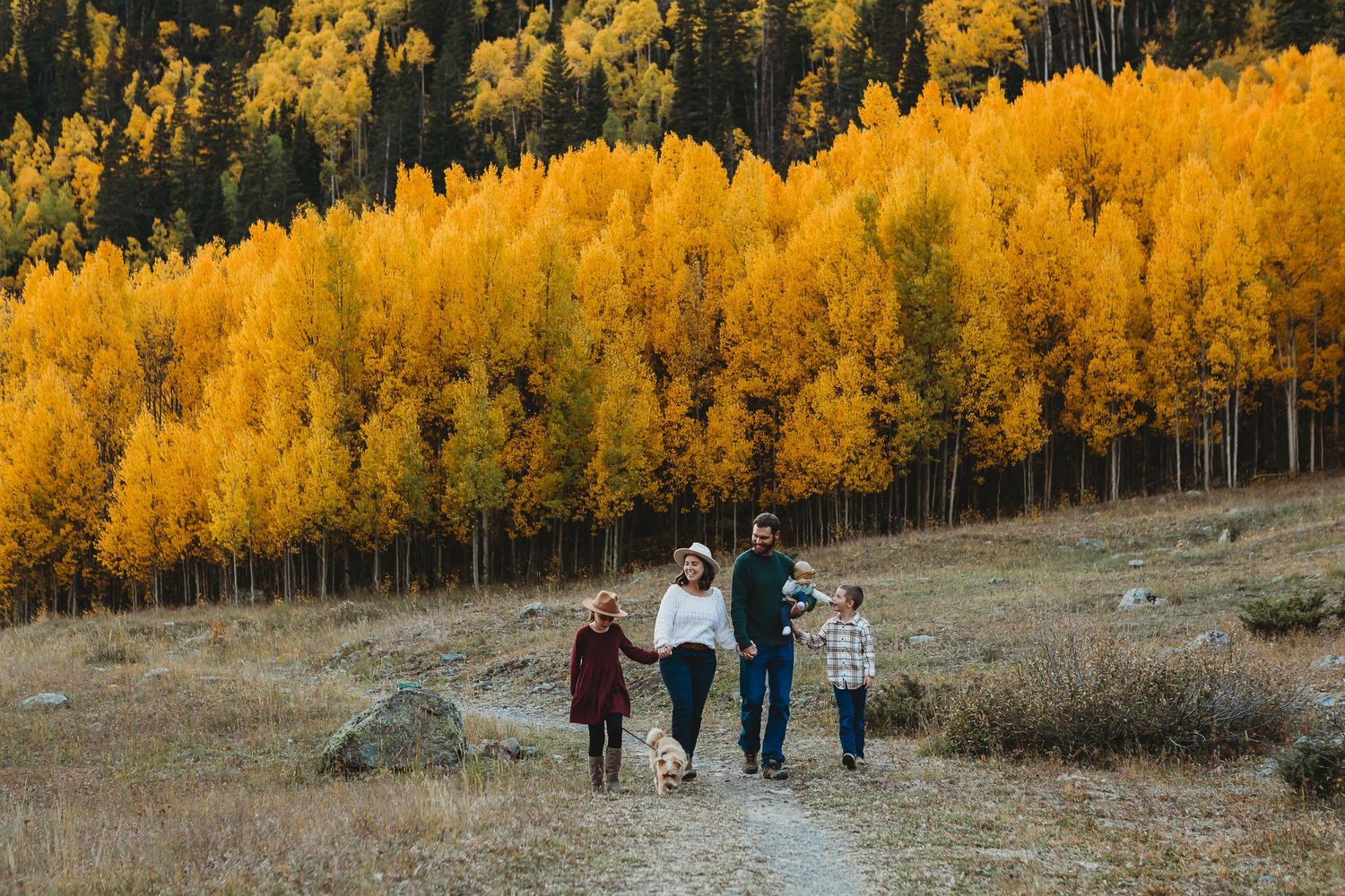 A group walks along a dirt path with vibrant golden aspen trees glowing in autumn sunlight behind them.