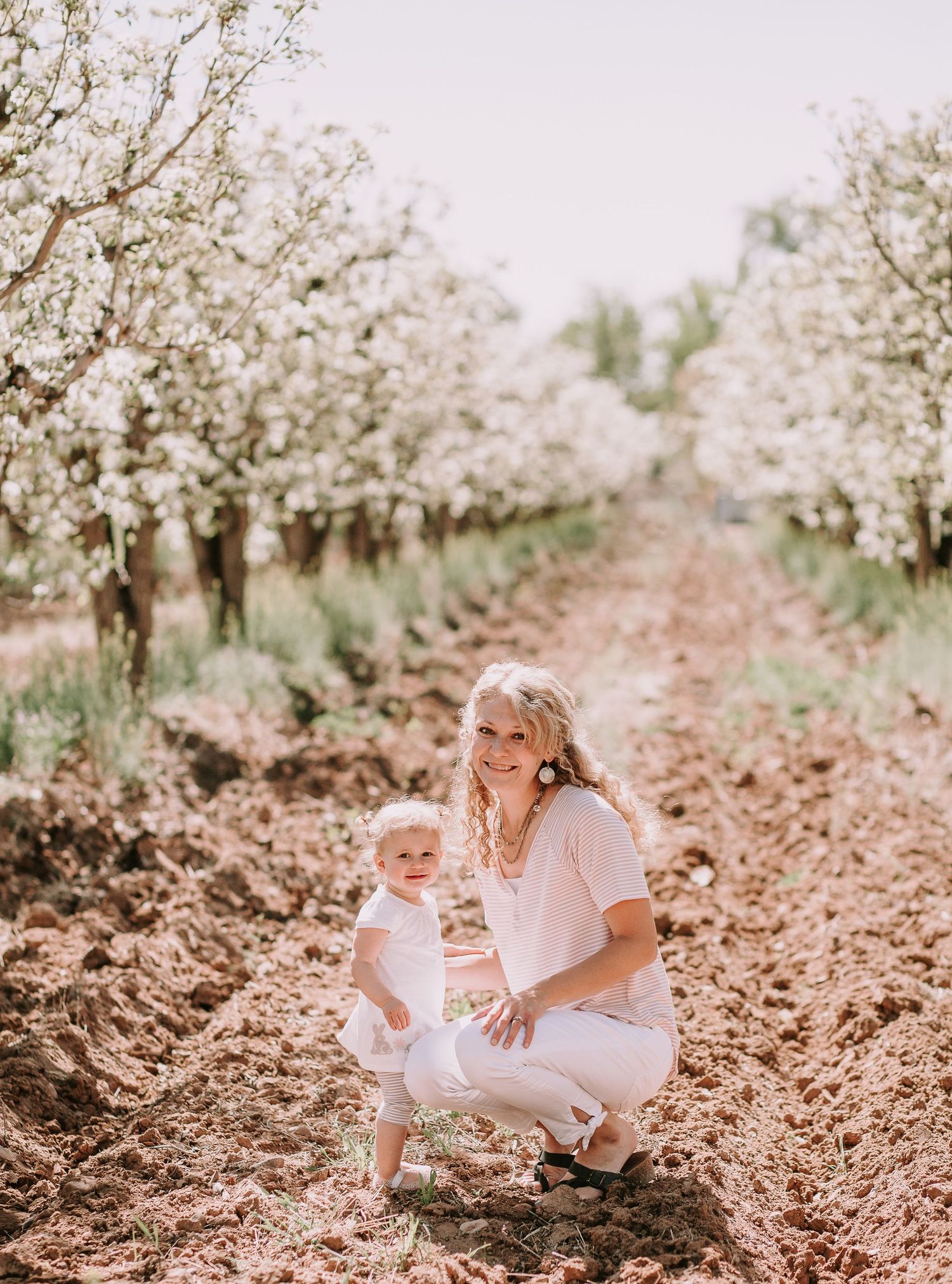 Beautiful spring orchard scene with blooming trees and tilled soil.