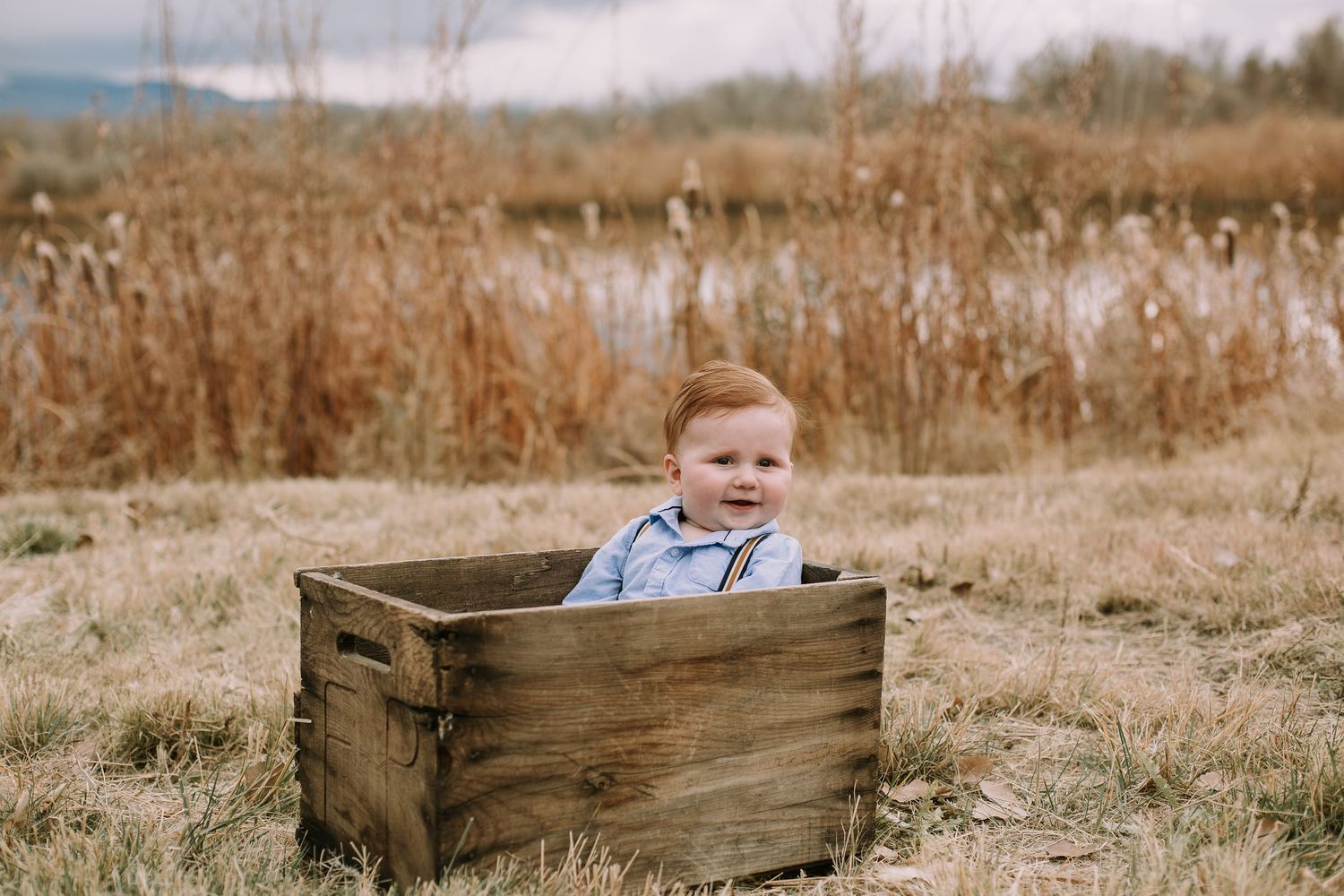 Small figure sitting in rustic wooden crate against winter landscape with dried grasses.