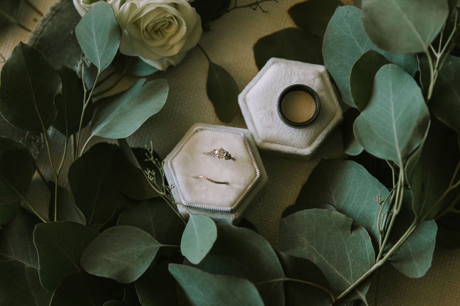 Wedding rings in hexagonal boxes surrounded by green leaves and white roses.