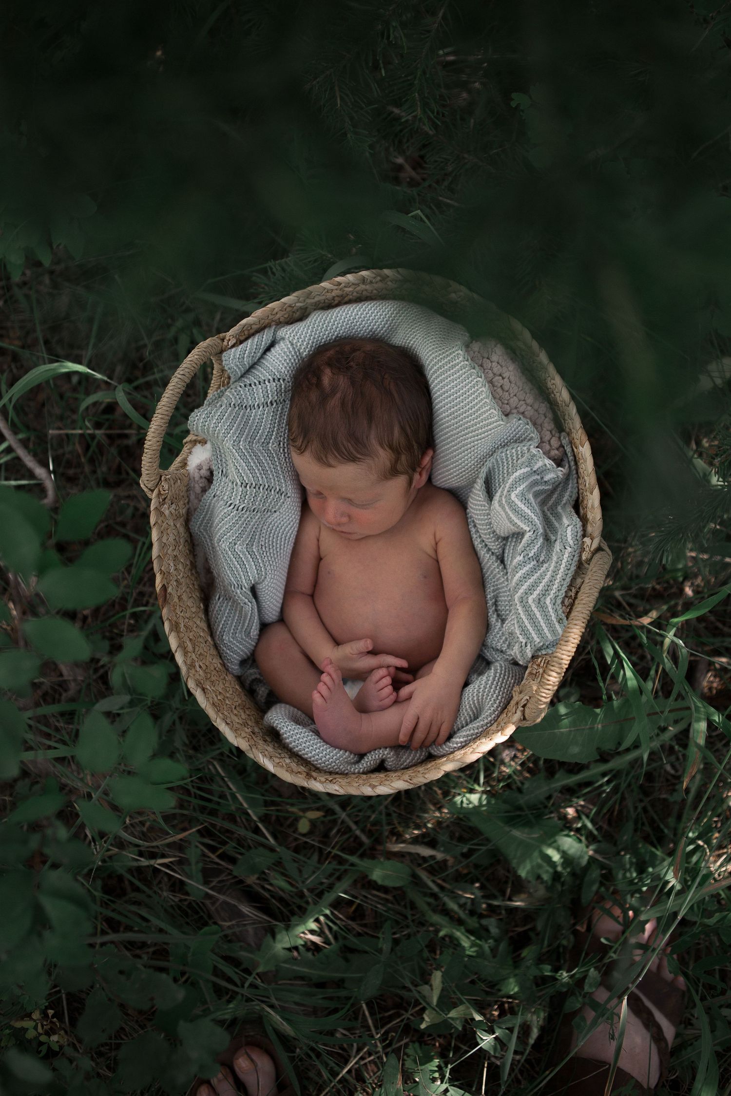 Sleeping baby nestled in woven basket with chevron blanket surrounded by dark green foliage.