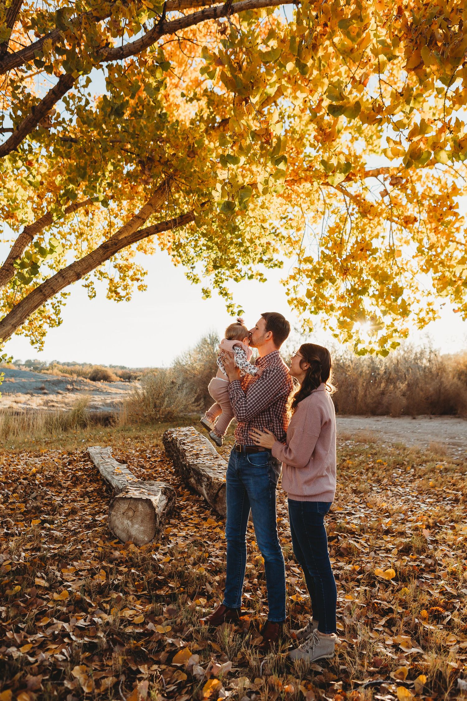 Family enjoying a warm autumn day under golden leaves near a fallen log.