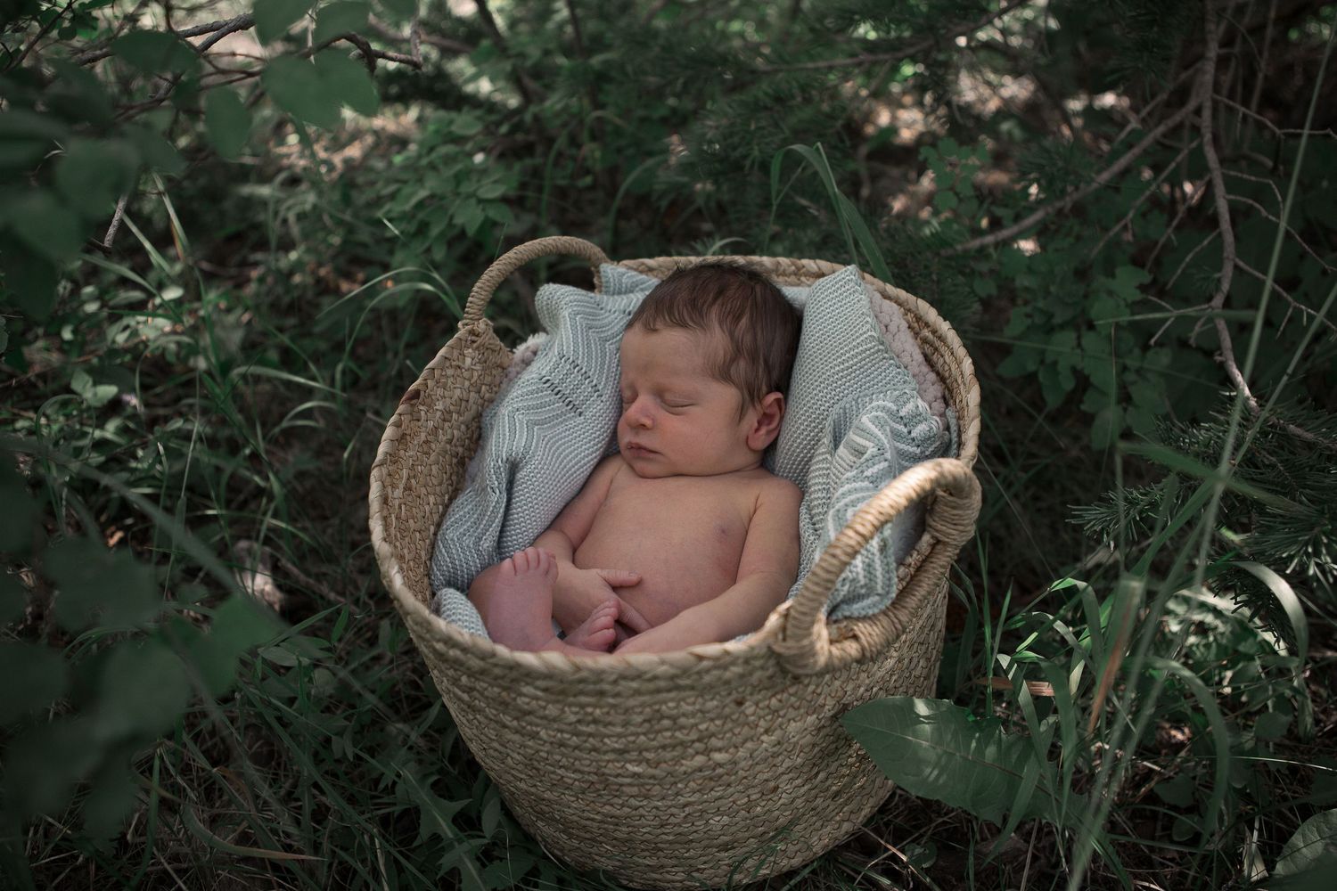 Overhead view of sleeping baby in woven basket surrounded by lush garden foliage.