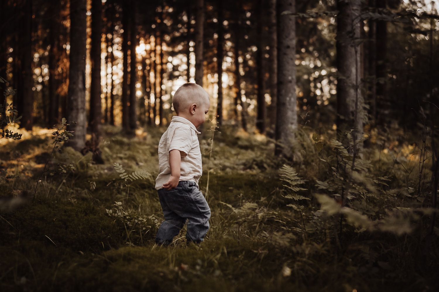 Barnfotograf, familjfotografering, FALUN