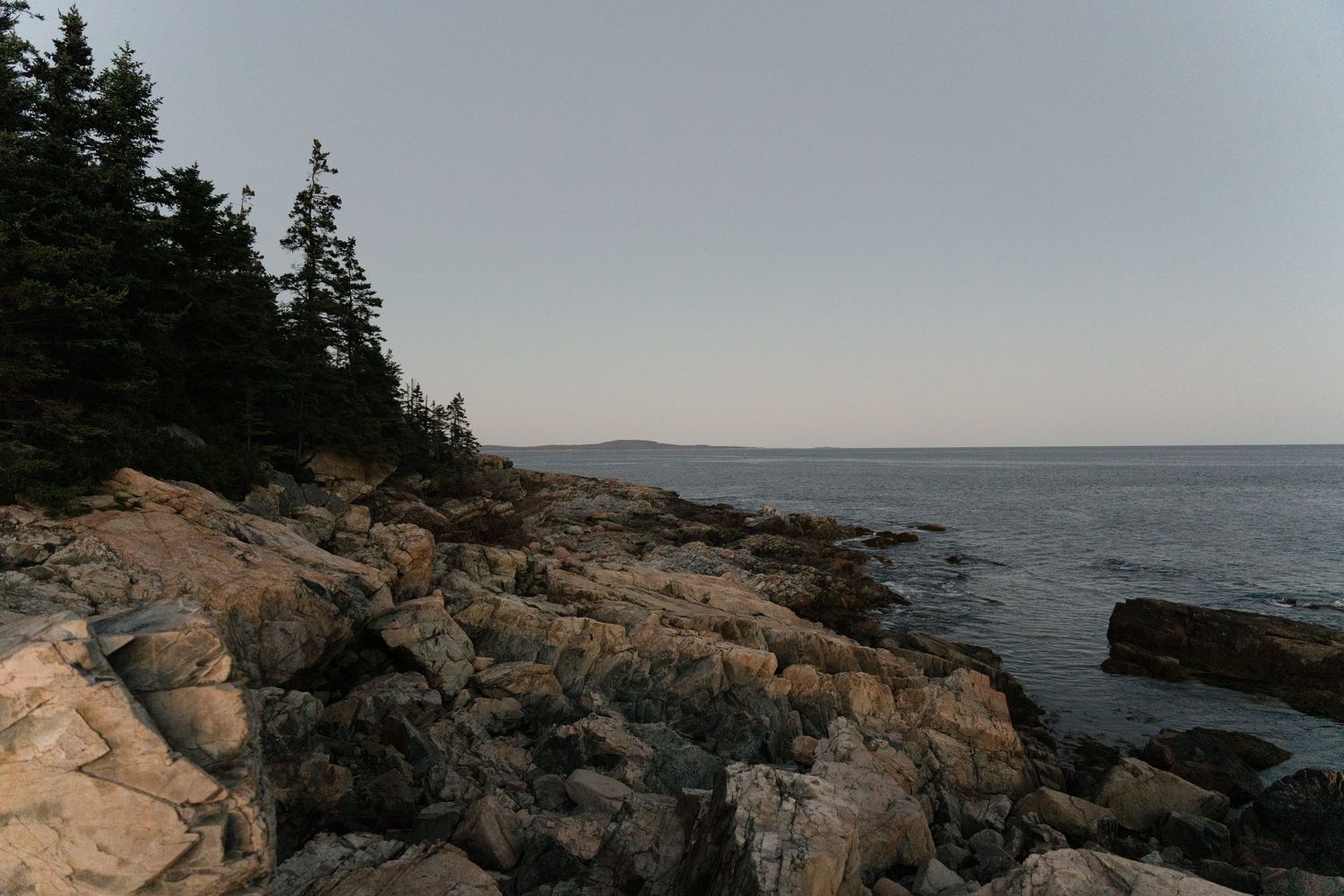 Rugged granite shoreline with evergreen spruce trees overlooking calm ocean waters under a soft, hazy twilight sky.