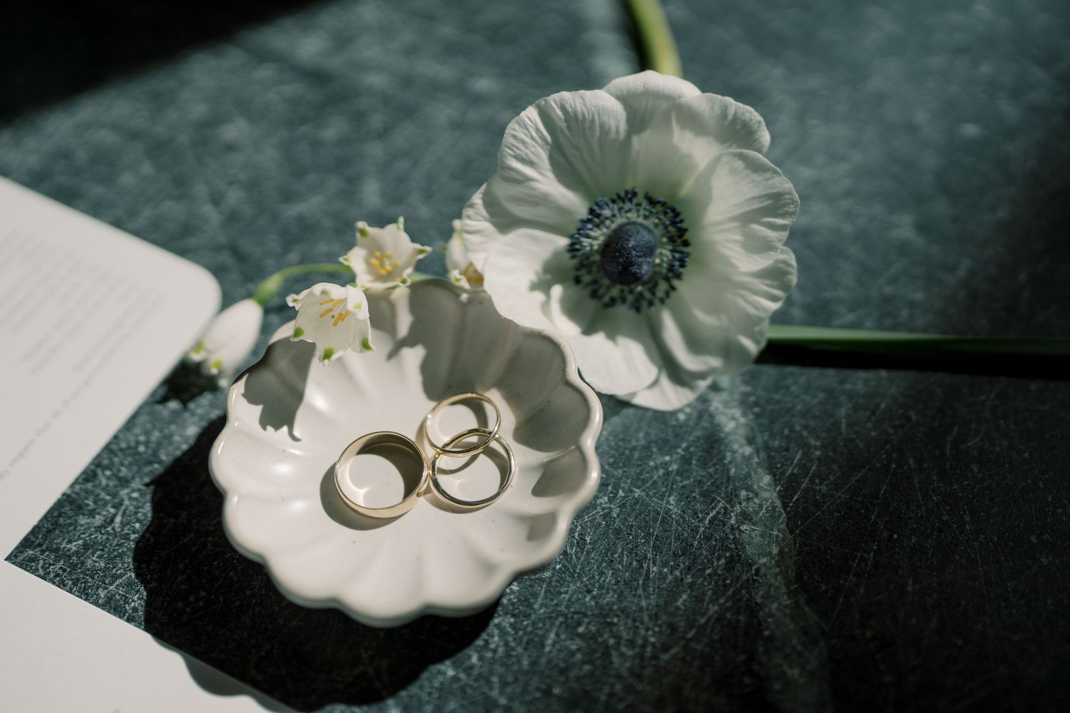 Wedding rings displayed artistically on white flower petals with dark background.