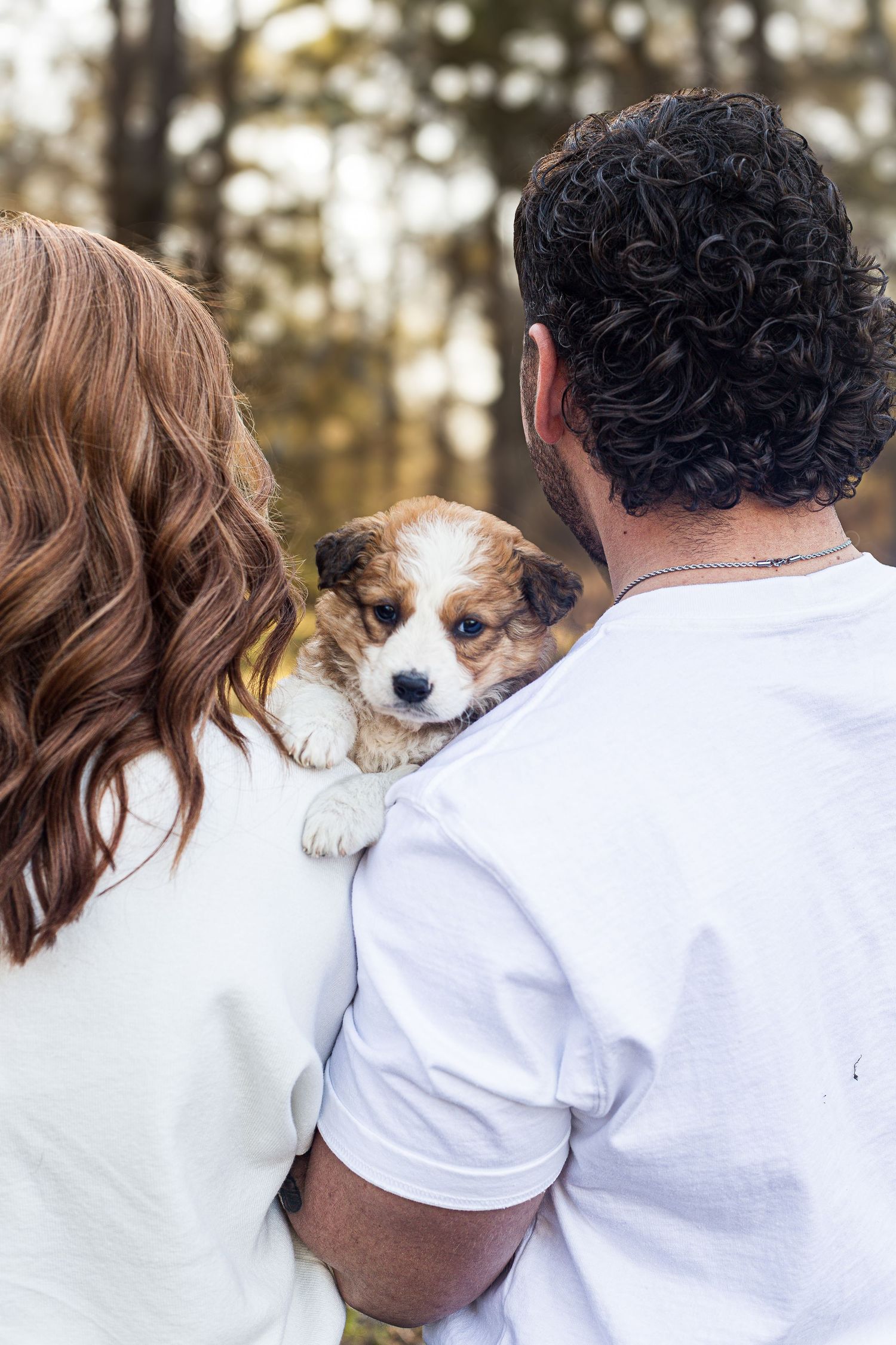 A couple in white shirts holding an adorable corgi puppy between them.
