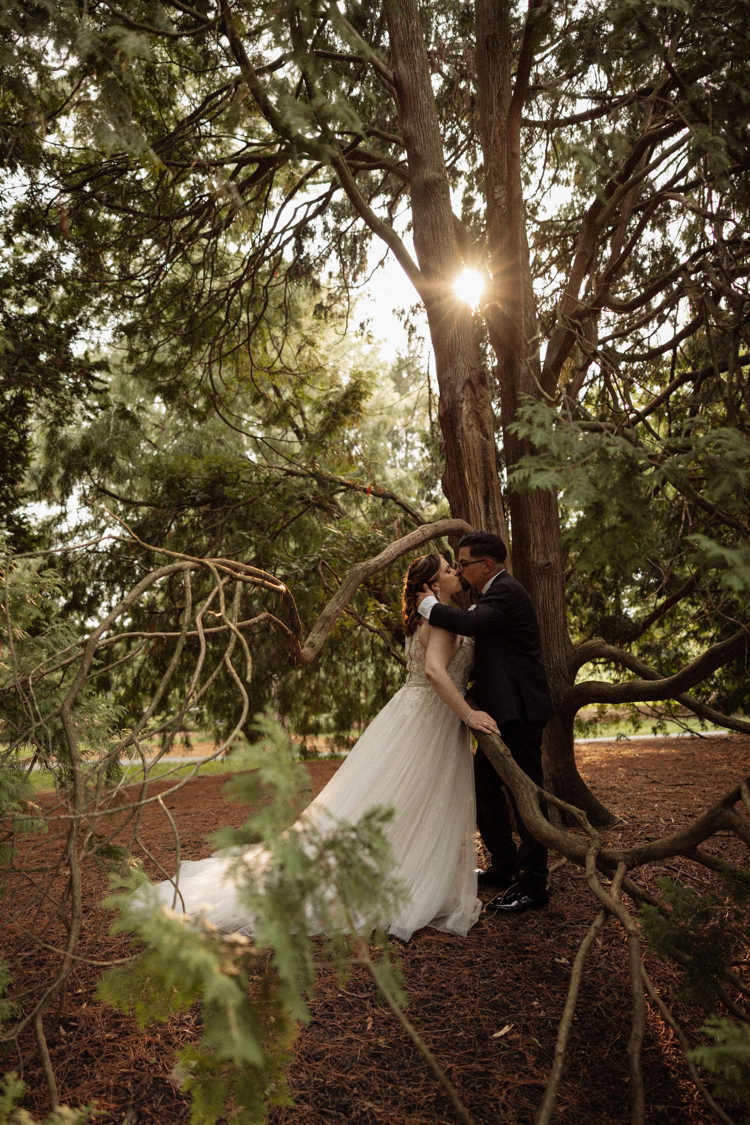Bride and groom kissing under a sunlit tree in a lush forest, bride in white gown, groom in dark suit.