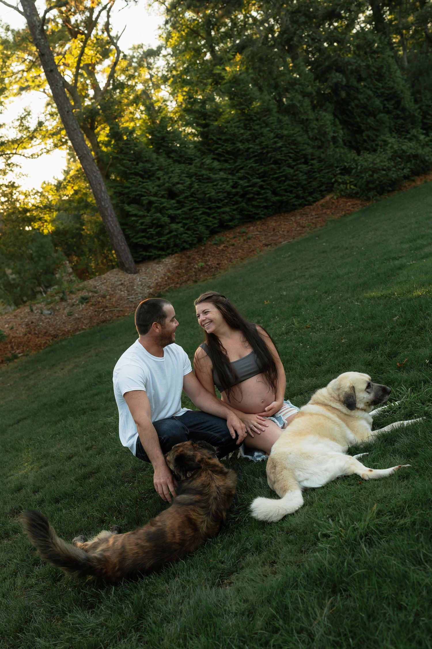 Couple relaxes on grassy hill with their two dogs during maternity photoshoot.