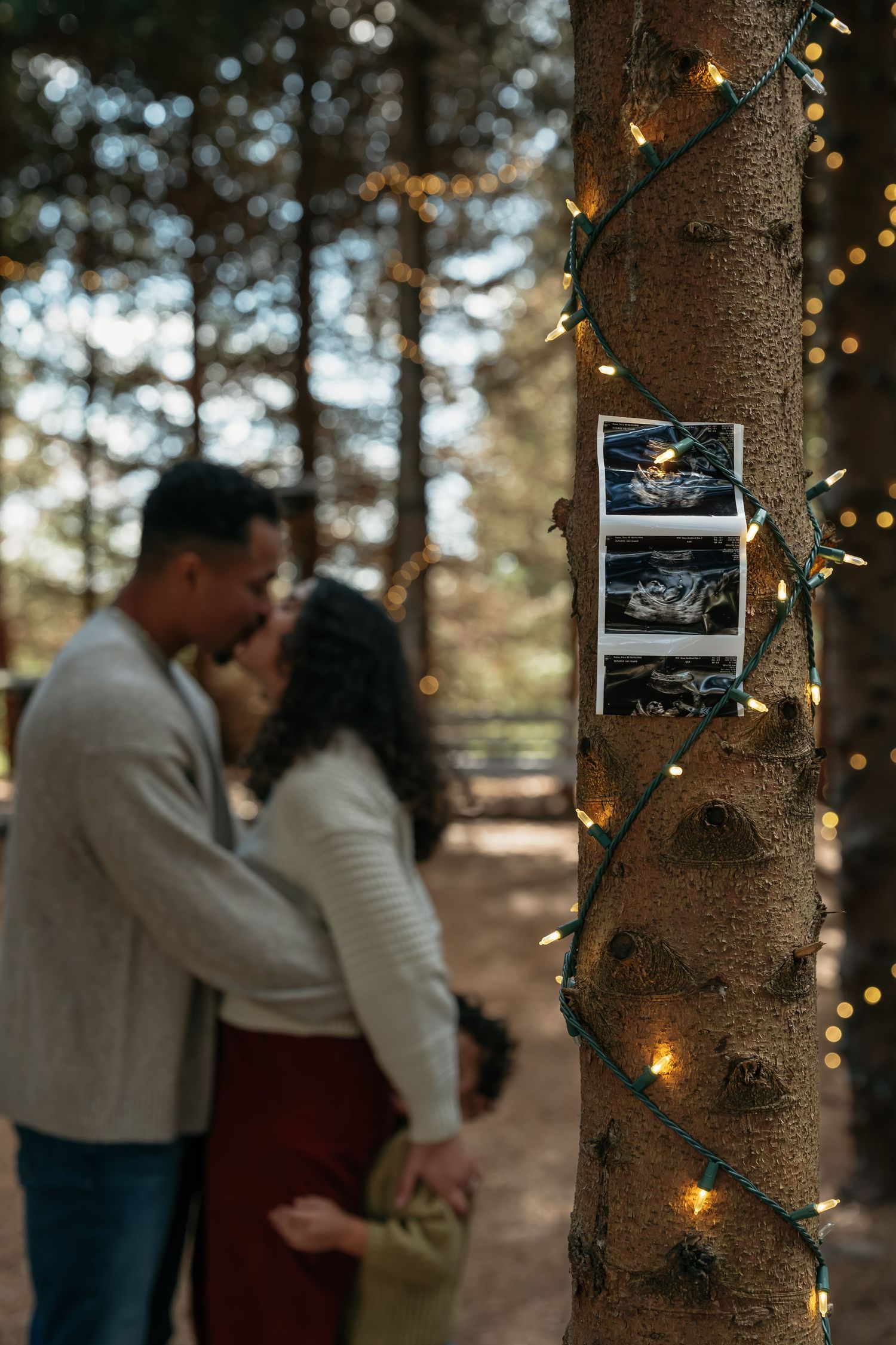 Romantic forest scene with string lights and an ultrasound photo displayed on a tree trunk.