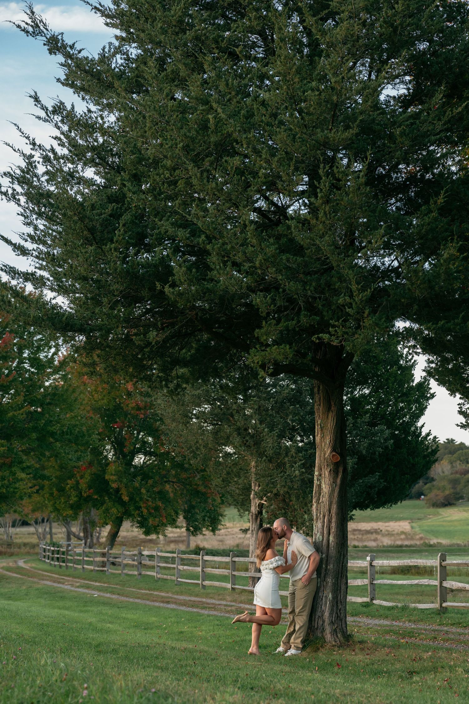 A romantic couple shares tender moments under a large tree in a pastoral setting with wooden fences.