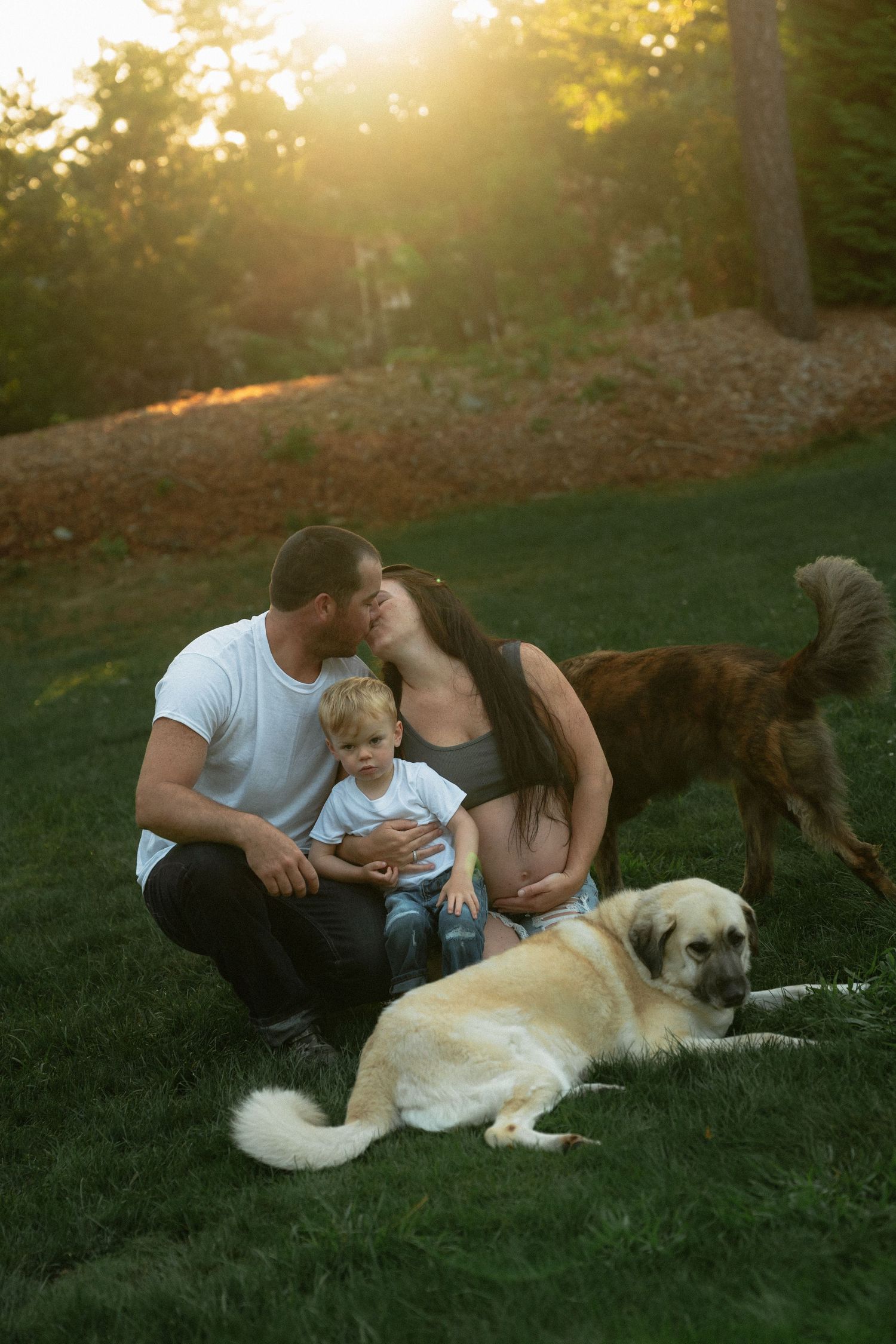 Family and their two dogs share intimate moment during sunset photoshoot on grassy hill.