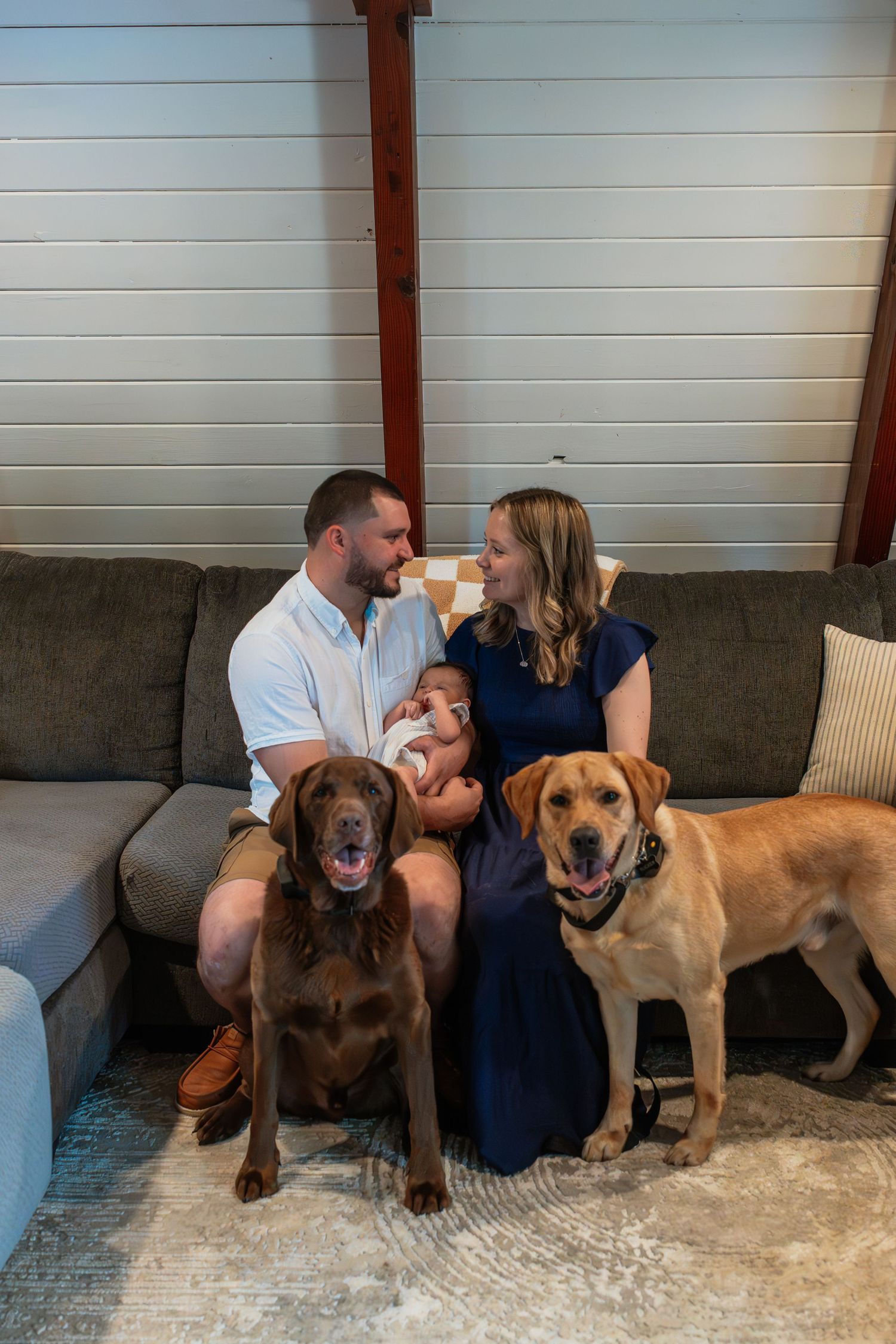 Family sitting on grey couch with two friendly Labrador dogs in casual home setting.