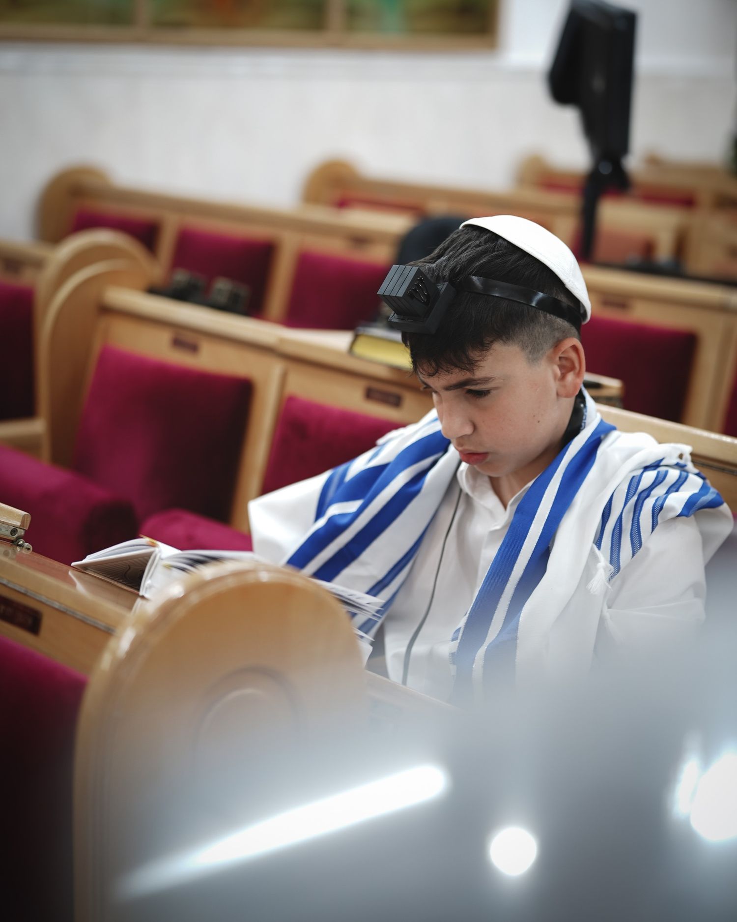 Person wearing traditional prayer shawl studying in a synagogue.