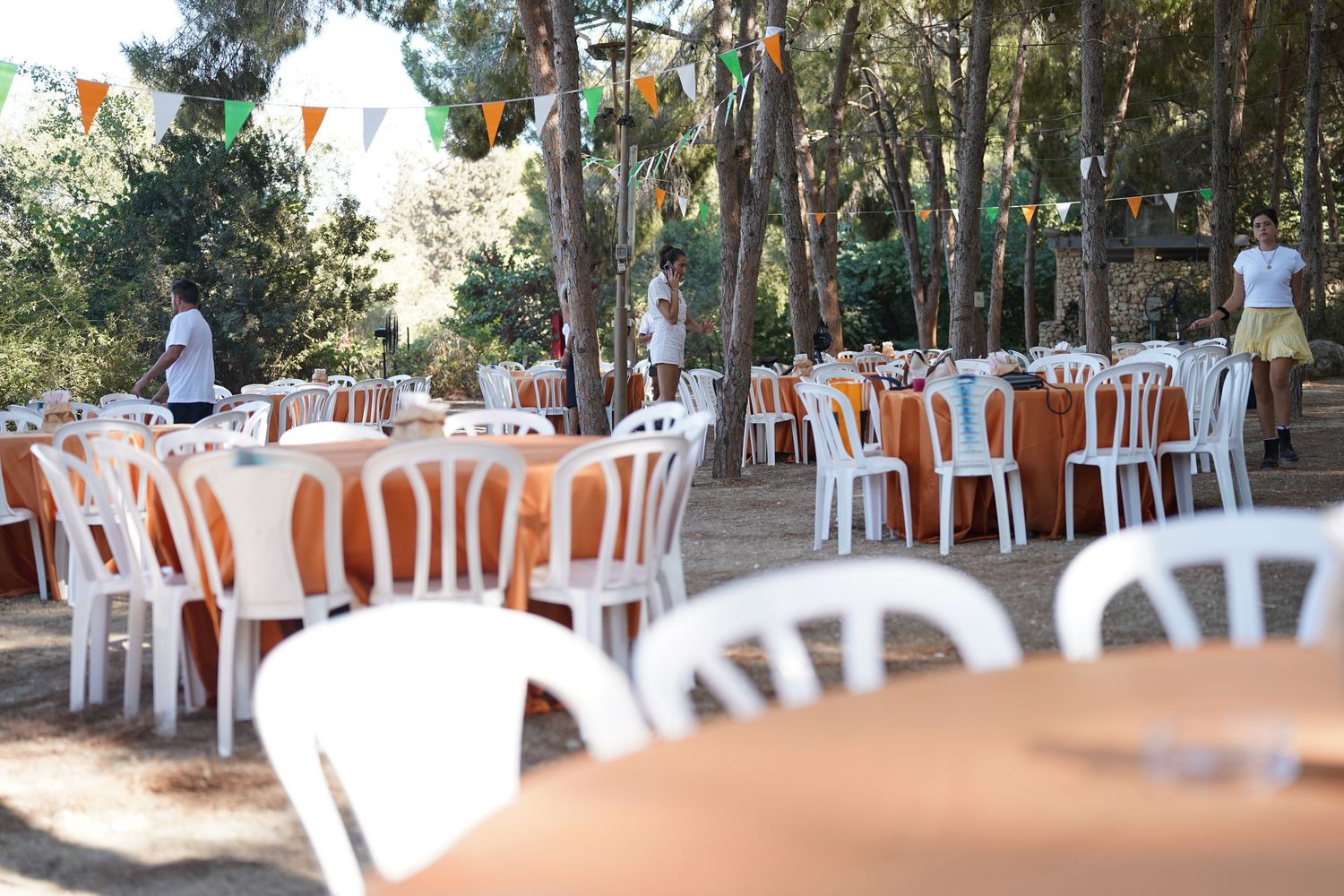 Wide view of outdoor event space with tables and chairs set up among pine trees.