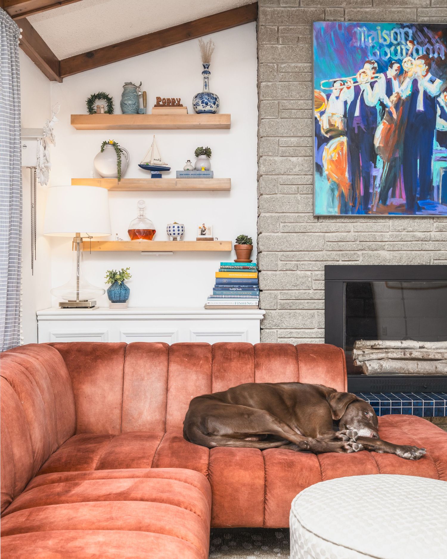 A panoramic sequence showing a grey dog relaxing on a coral-colored sectional sofa with floating shelves on the wall.
