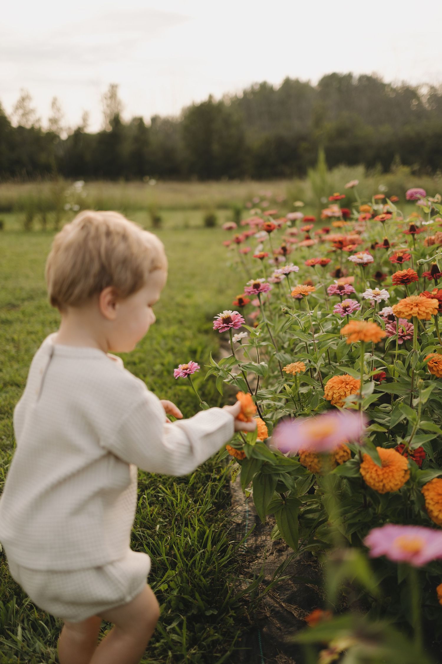 Lifestyle Family Photographer Newborn Maternity Perth Almonte Carleton Place Ottawa Kingston Kemptville Merrickville In Home Newborn
