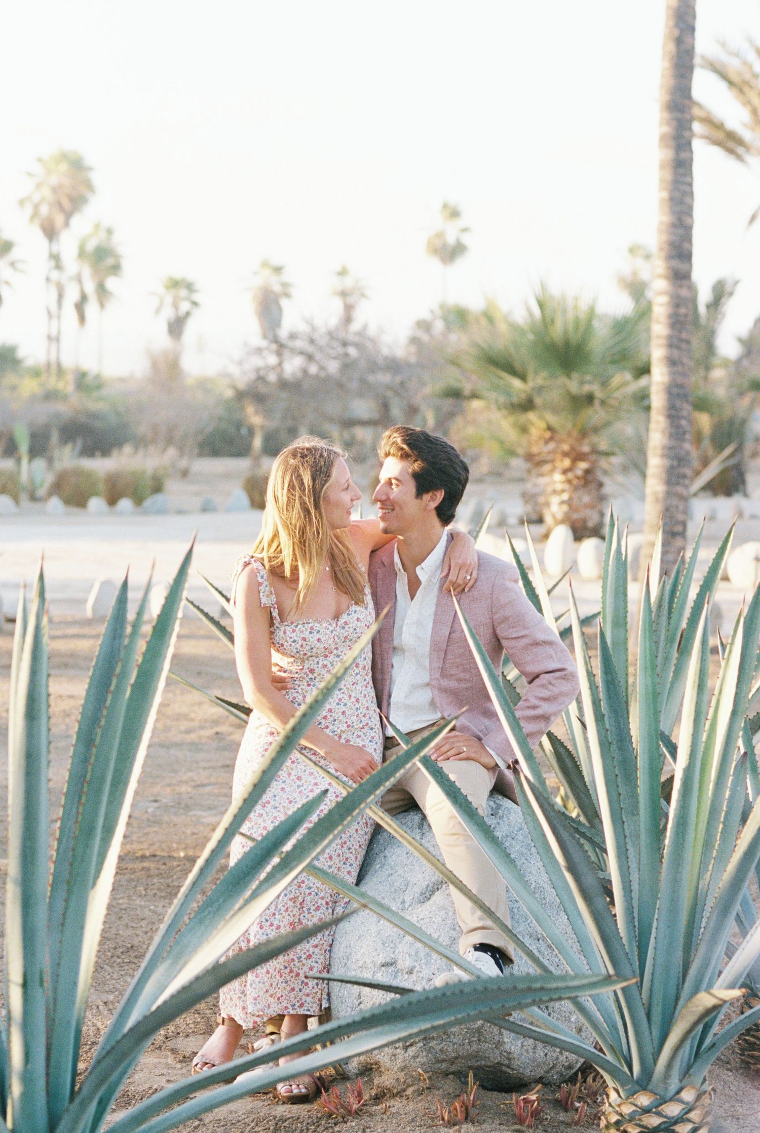 Romantic couple embrace among blue agave plants in desert setting with palm trees at sunset.