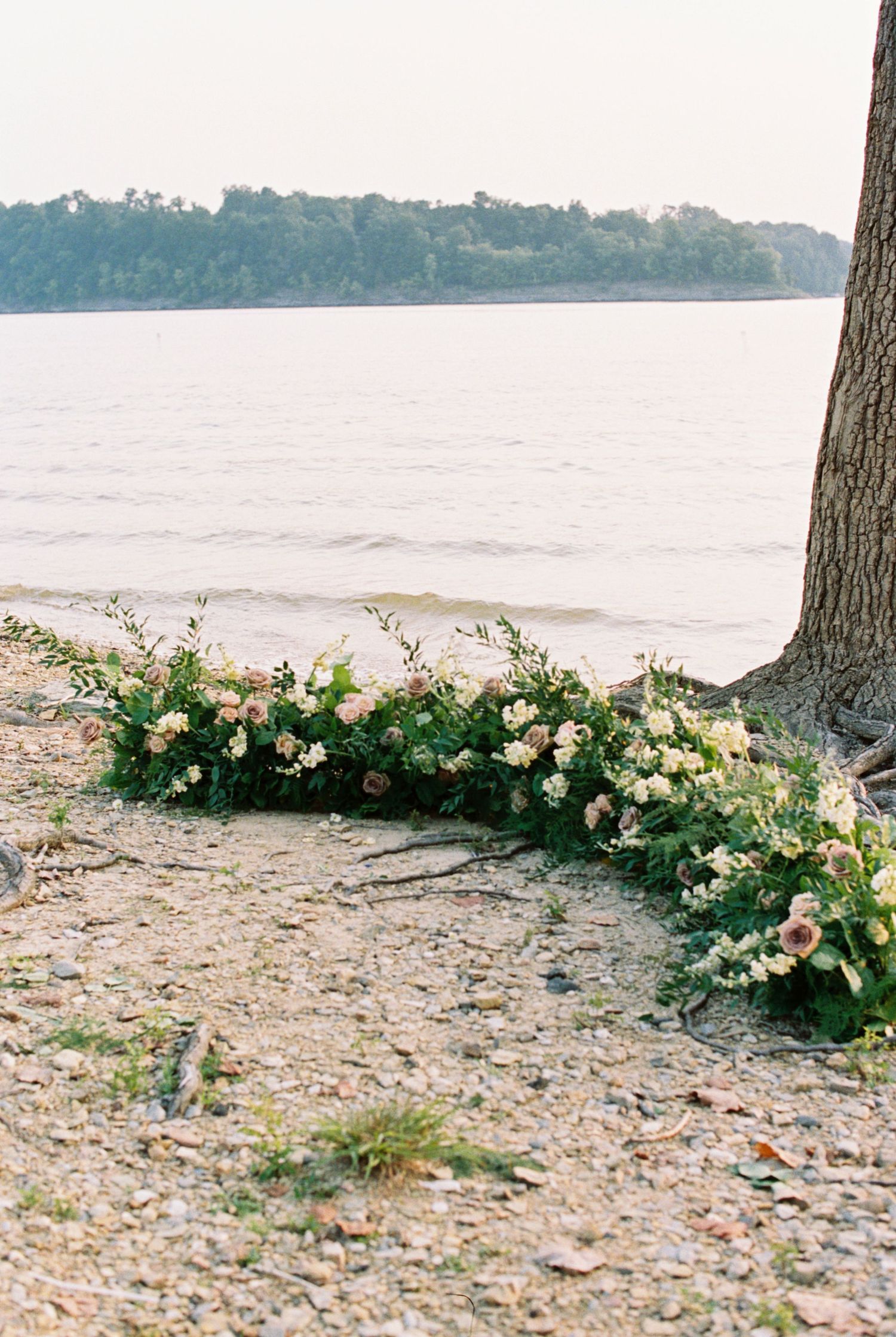 A floral arrangement with white and pink blooms lines the shoreline near a tree trunk beside a calm lake.