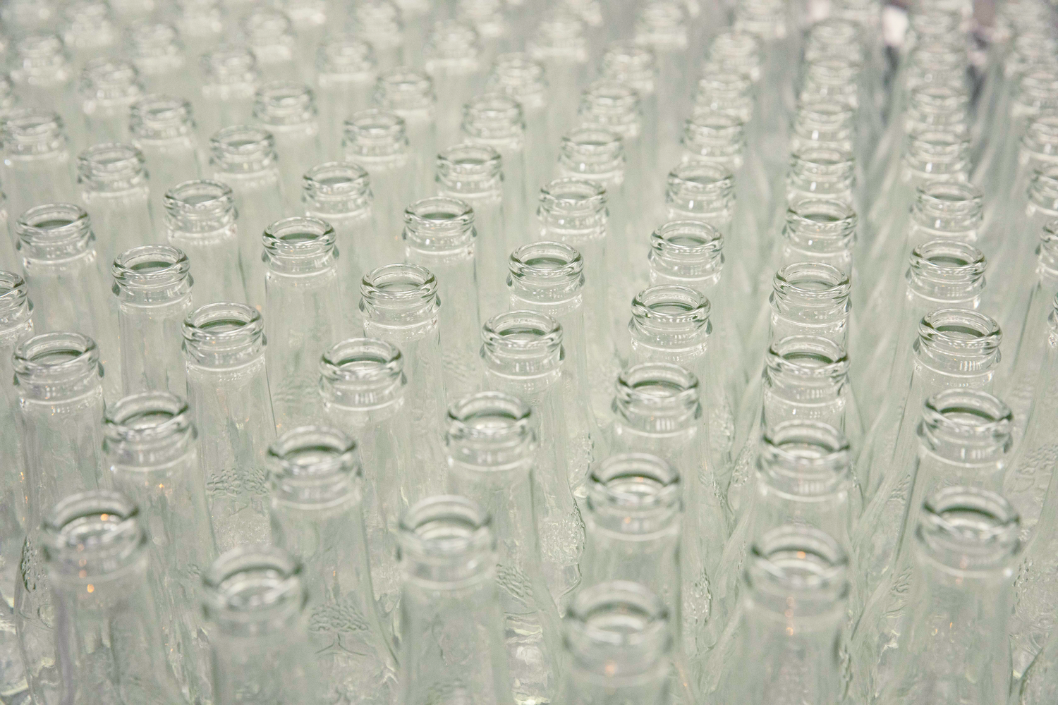 Rows of empty clear glass bottles arranged in a grid pattern, ready for filling in a manufacturing facility.