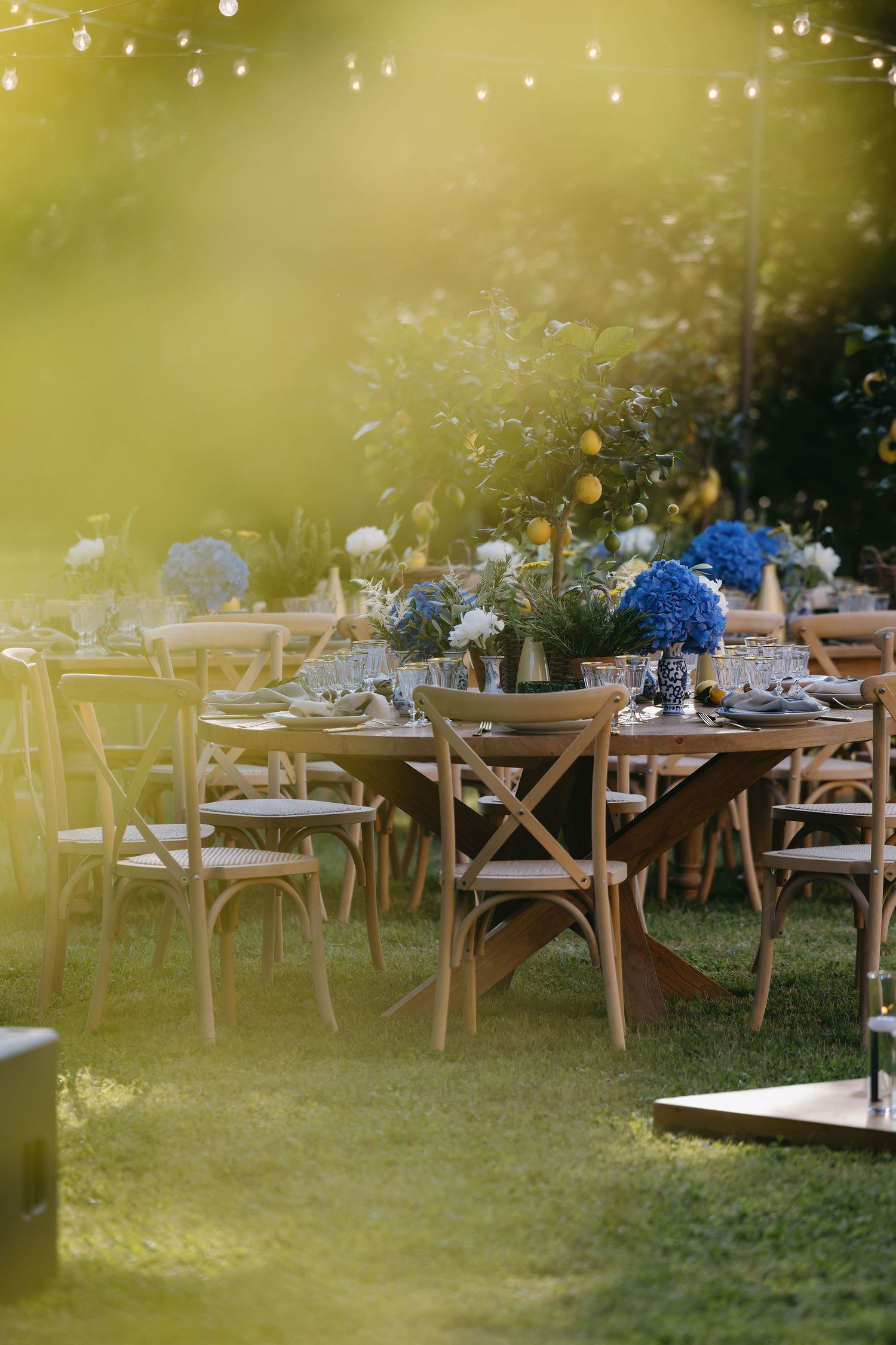 Elegant outdoor table setting with blue flowers and string lights at golden hour.