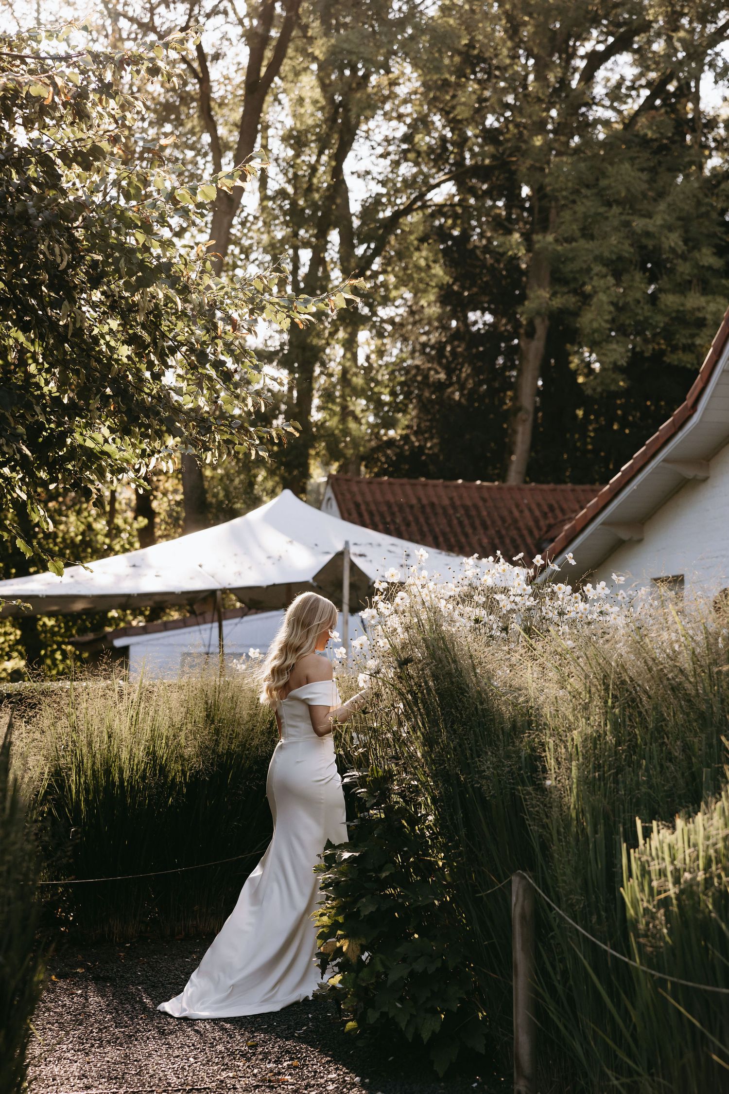 Ethereal wedding dress flowing in the breeze against natural tall grasses and trees.