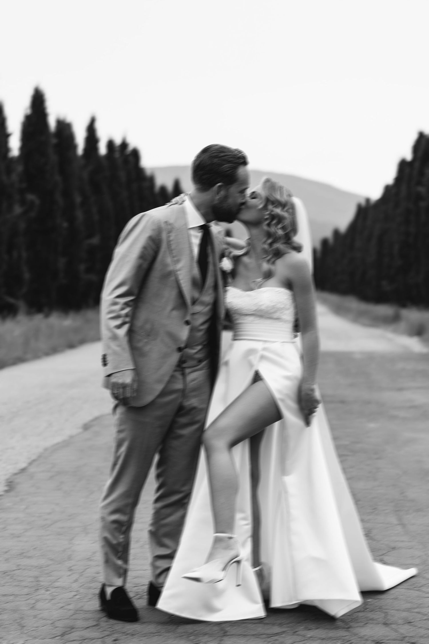 A romantic black and white wedding portrait on a cypress-lined path in the countryside.