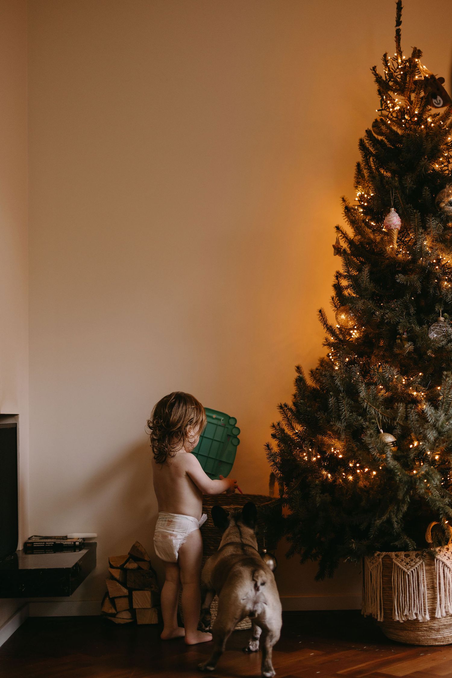 A toddler and dog stand beside a decorated Christmas tree examining a green present.