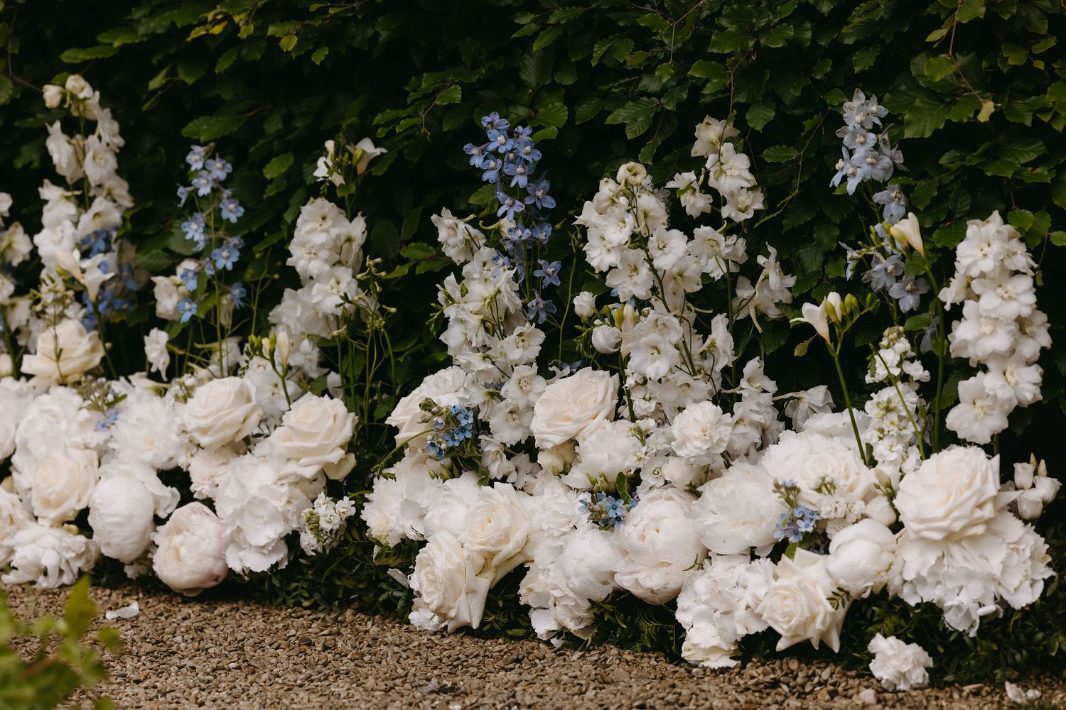 Elegant white floral arrangements with delphinium flowers create romantic garden display.