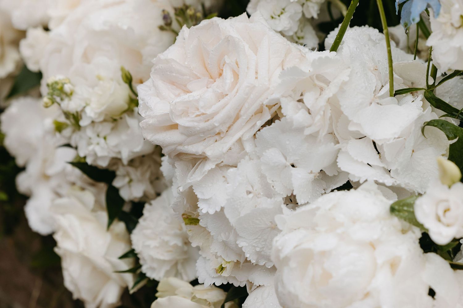 Close-up of delicate white and blush roses in a wedding floral arrangement.