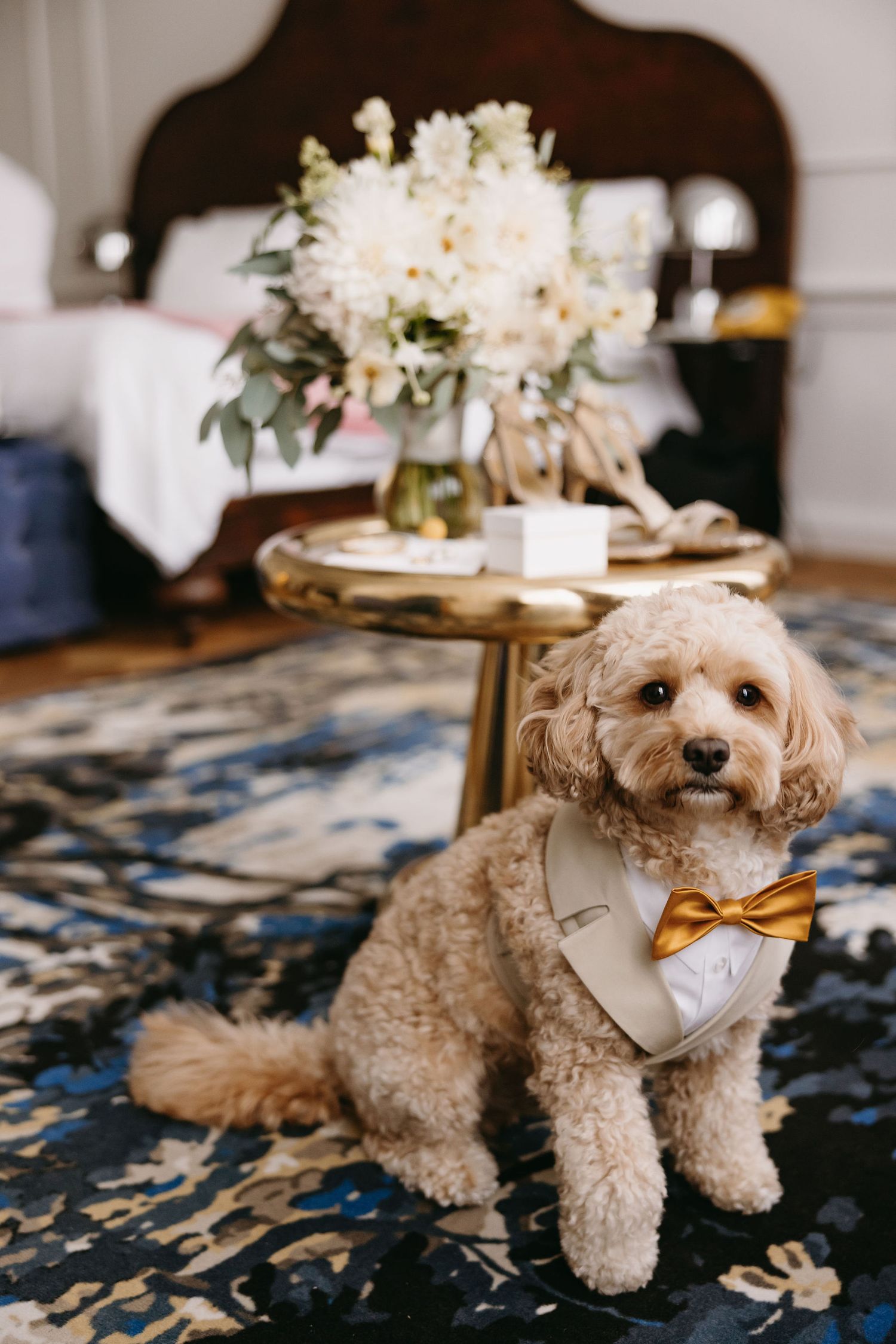 Fluffy cream-colored dog wearing a bow tie sitting on a patterned rug with flowers in background.