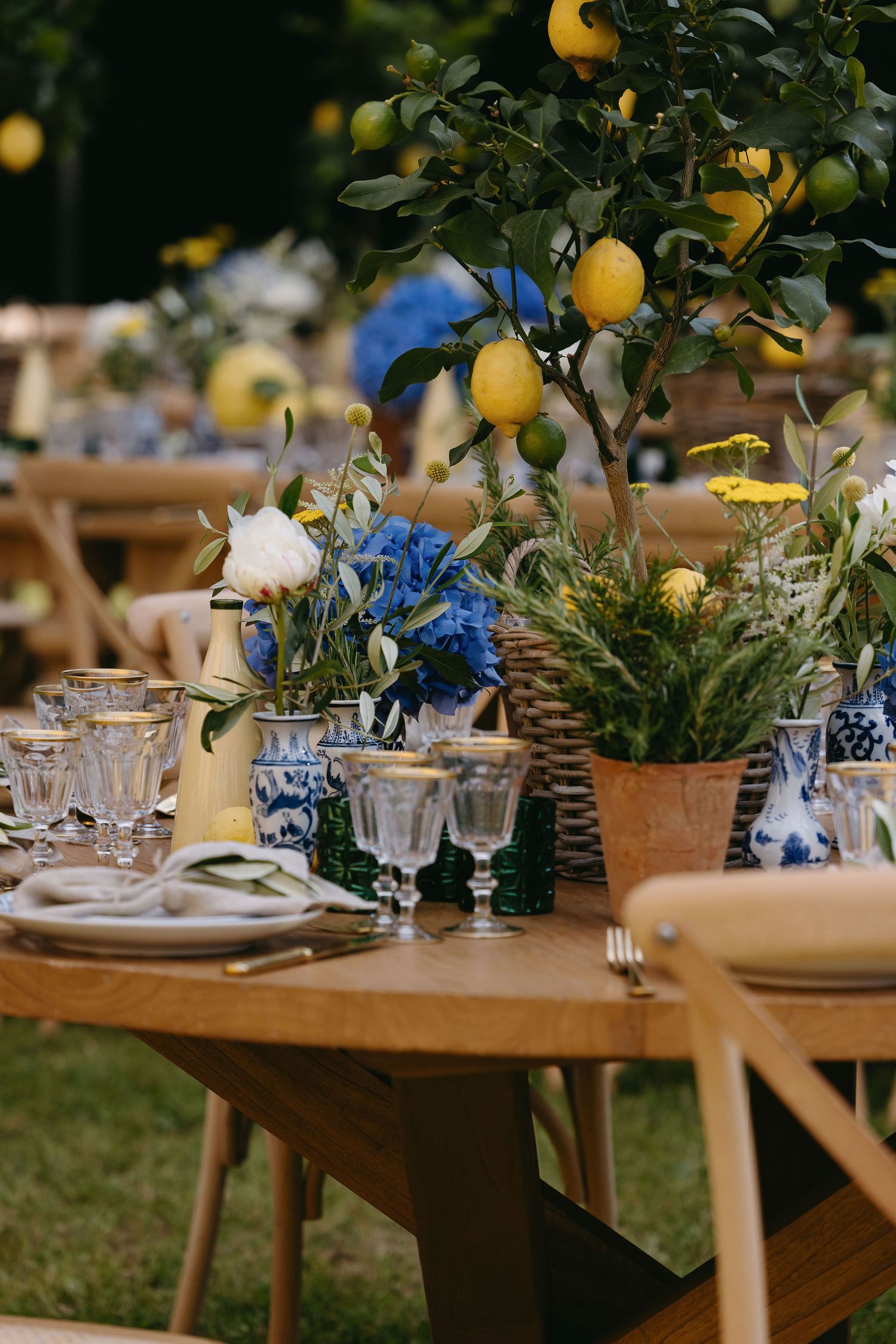 An elegant outdoor table setting with blue flowers and lemon trees for a garden wedding reception.