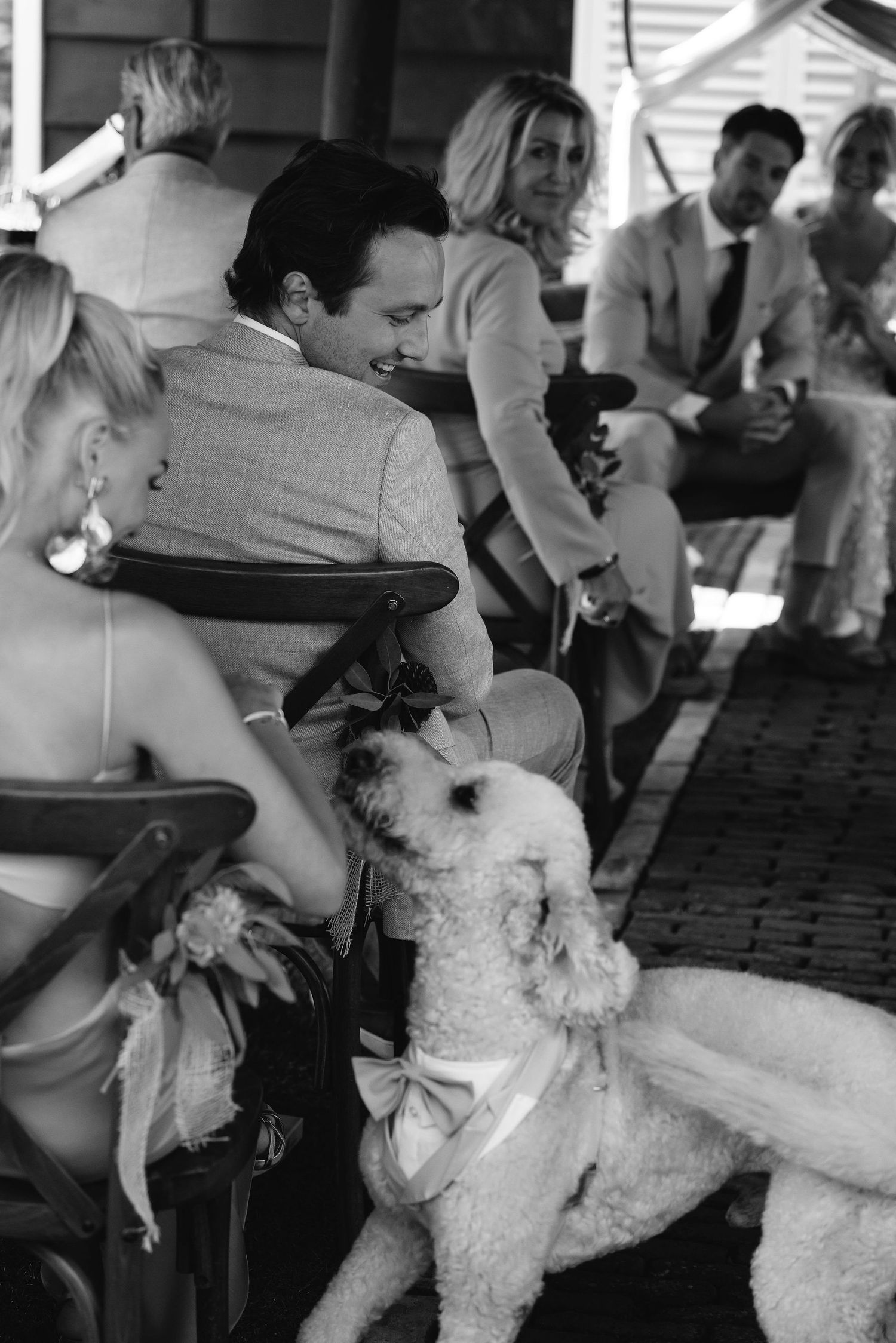 A fluffy white dog joins guests at an outdoor wedding reception.