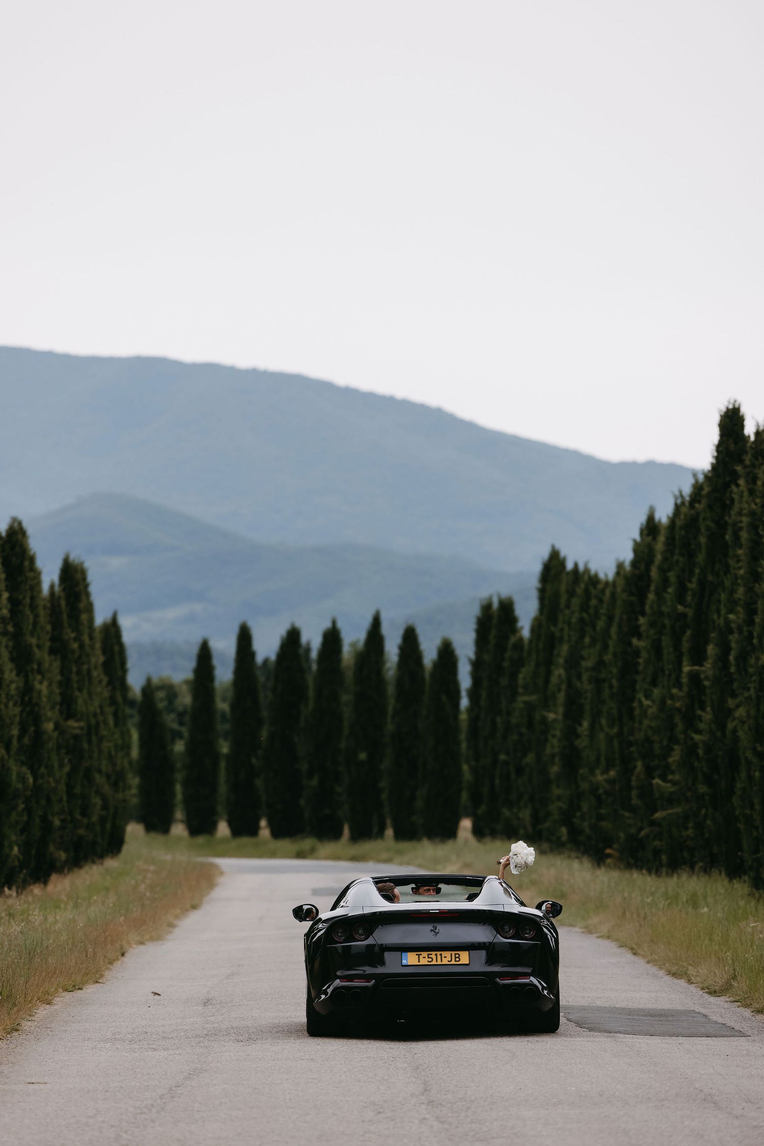 Black sports car driving down a cypress-lined road in Tuscany.