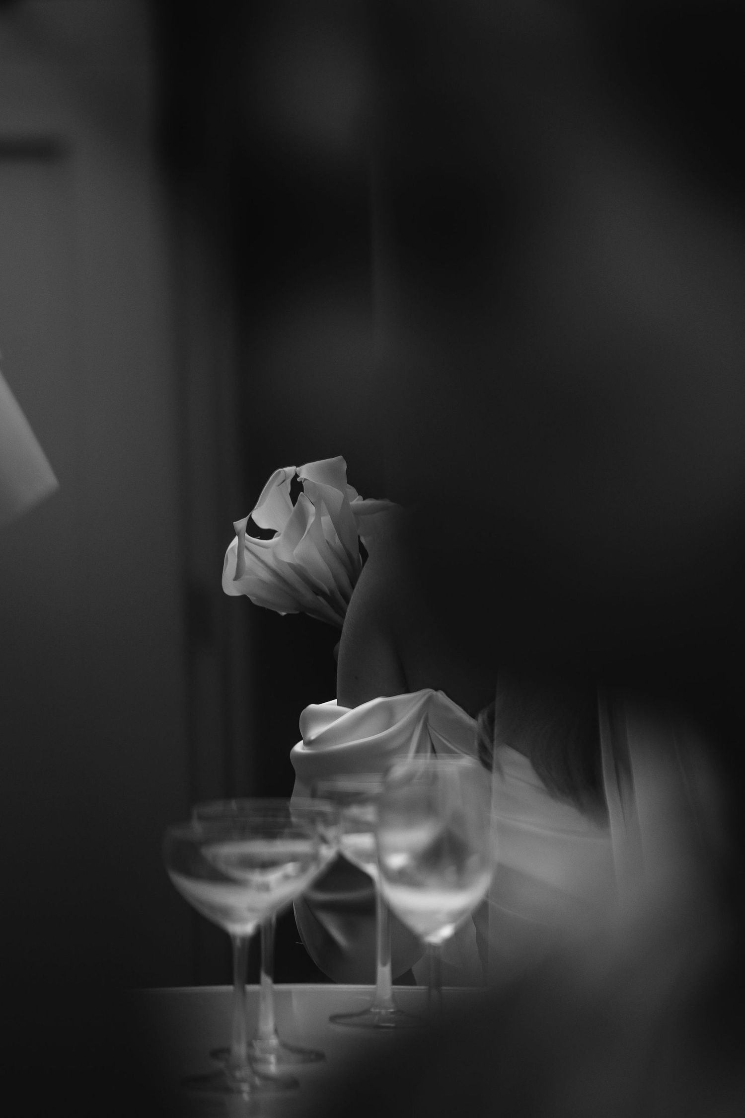 Black and white photograph of elegant wine glasses arranged in a soft focus composition against a dark background.