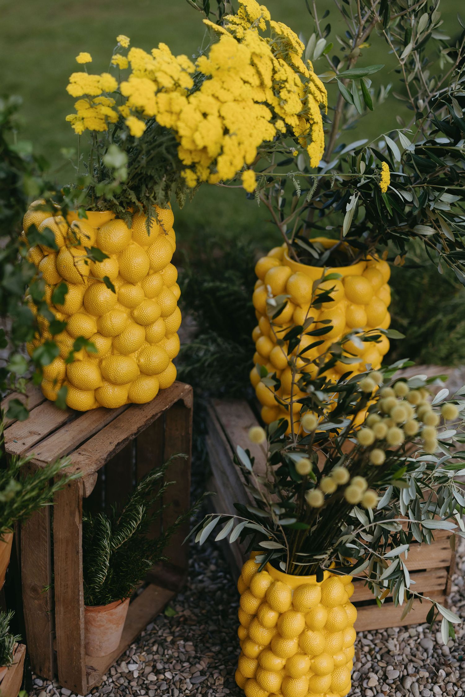 Decorative yellow lemon displays stacked in wooden crates with mimosa flowers.