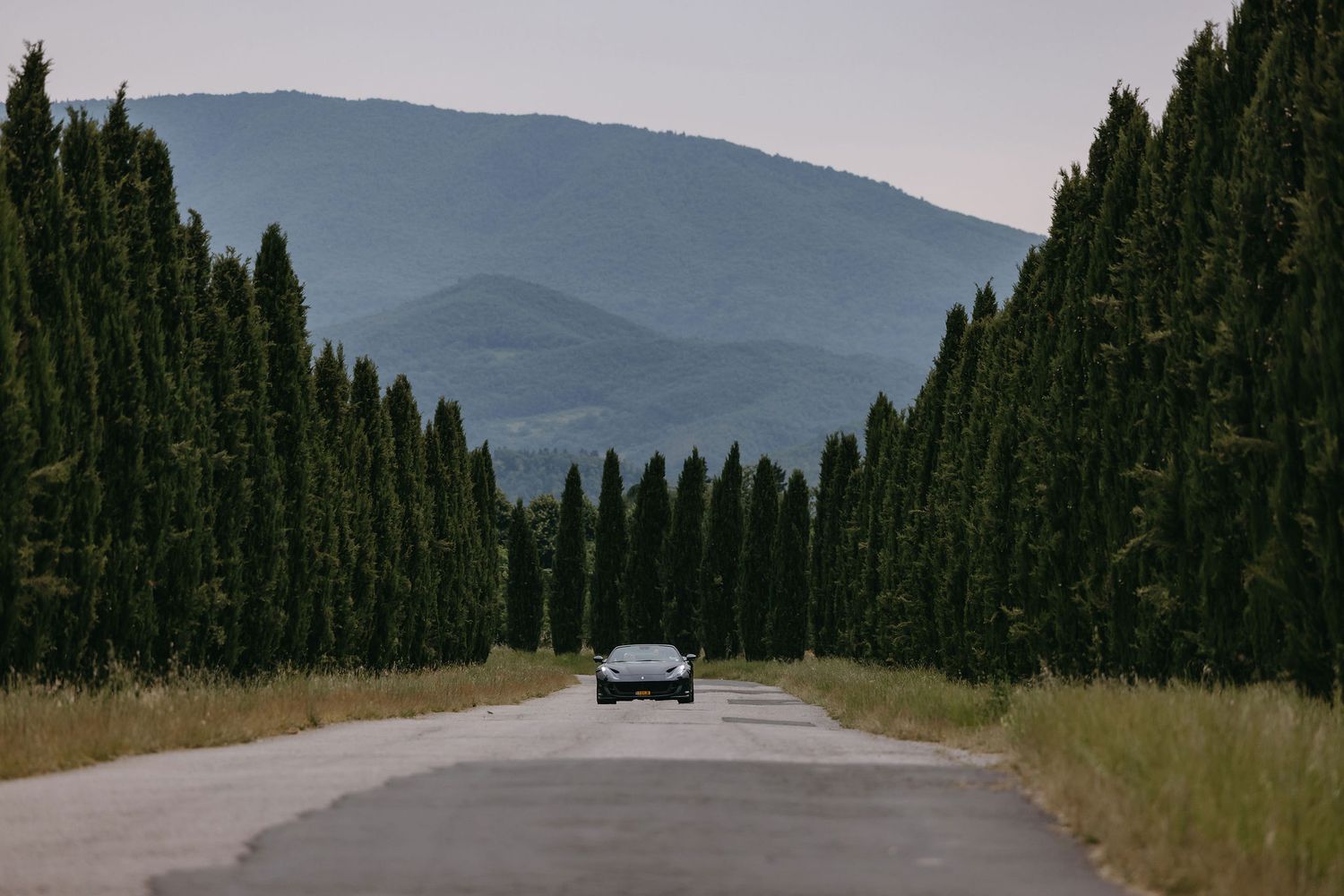 Long cypress tree-lined road leading to rolling hills in the Italian countryside.