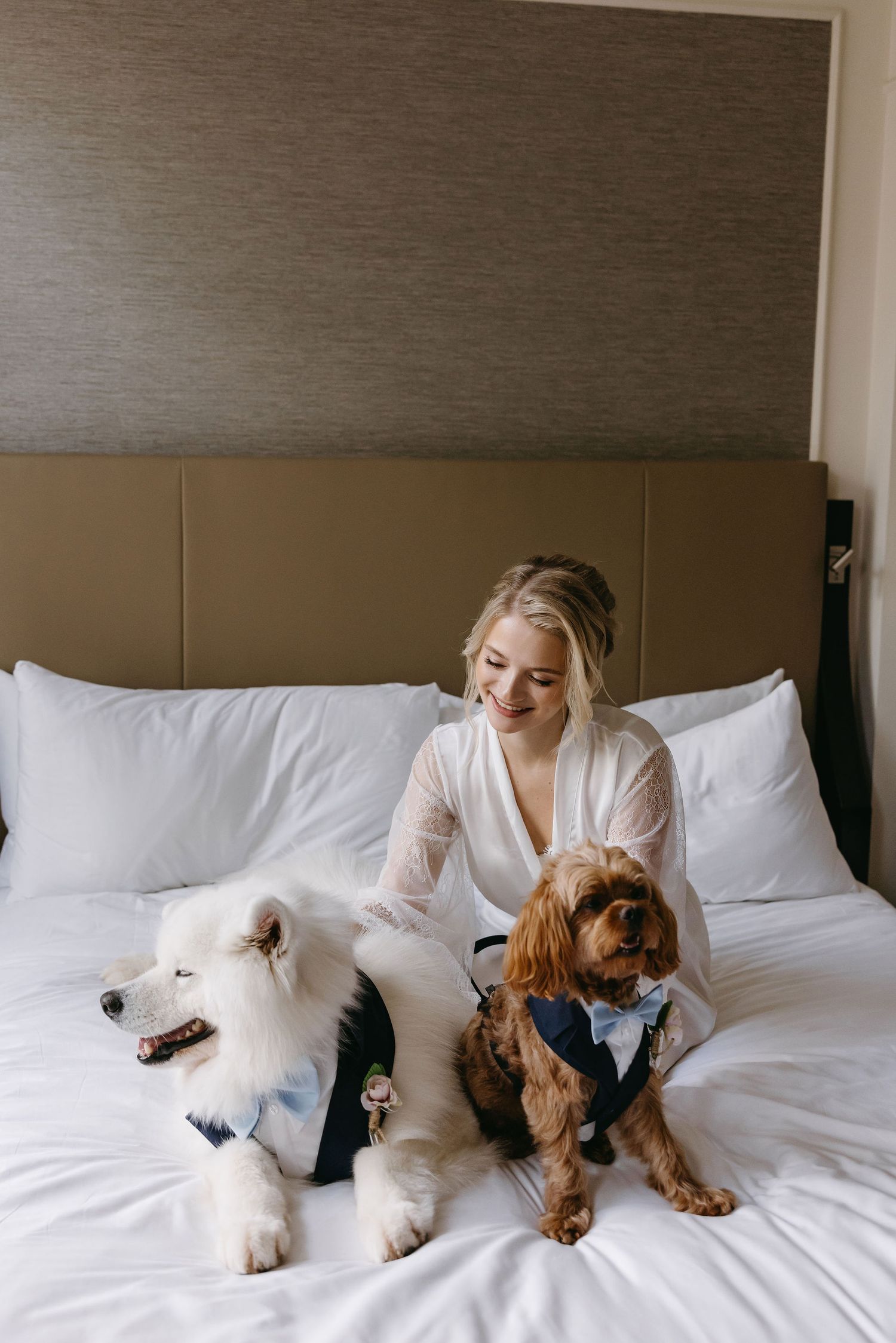 Person in white lounging on hotel bed with fluffy white and brown dogs.